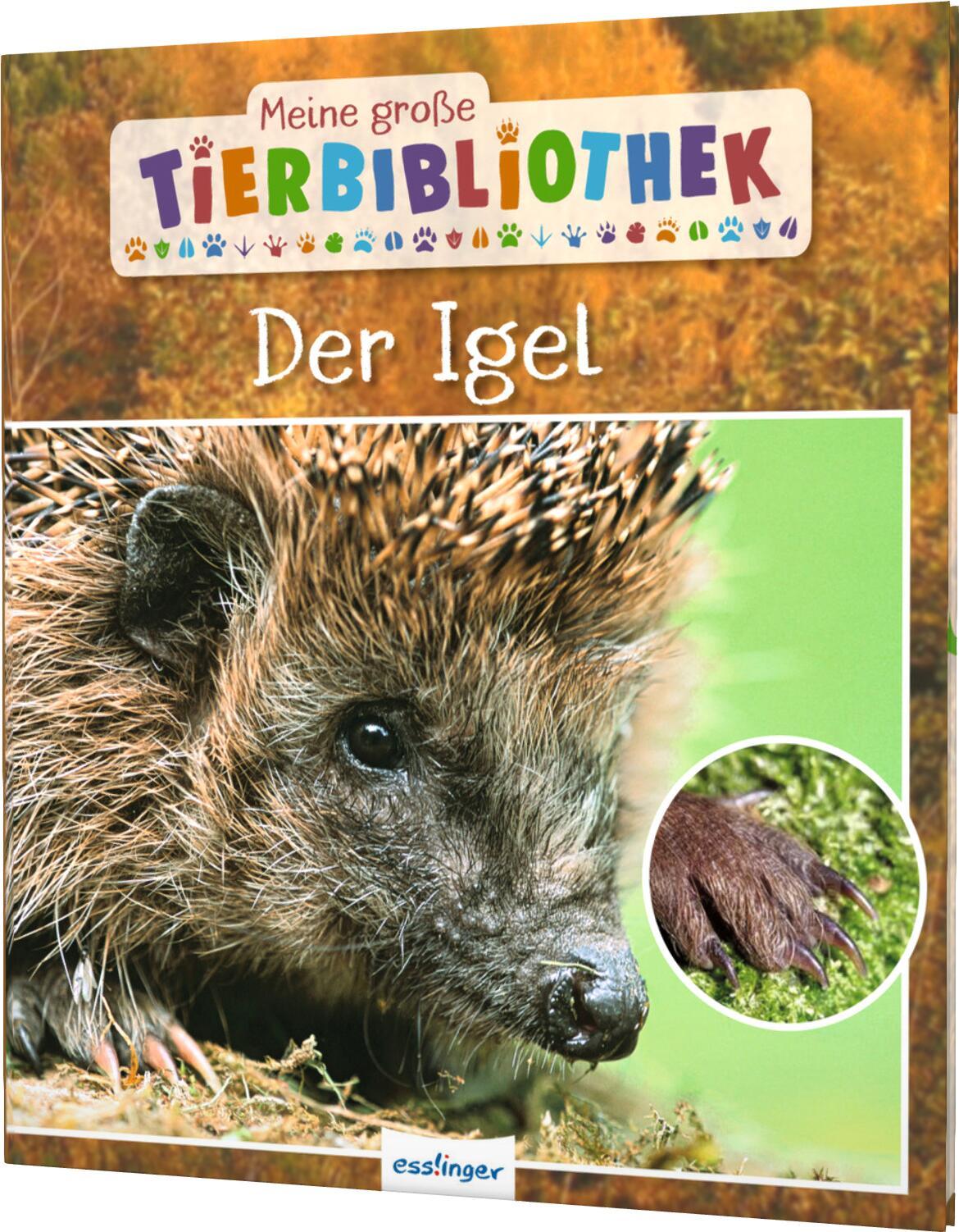 Meine große Tierbibliothek: Der Igel