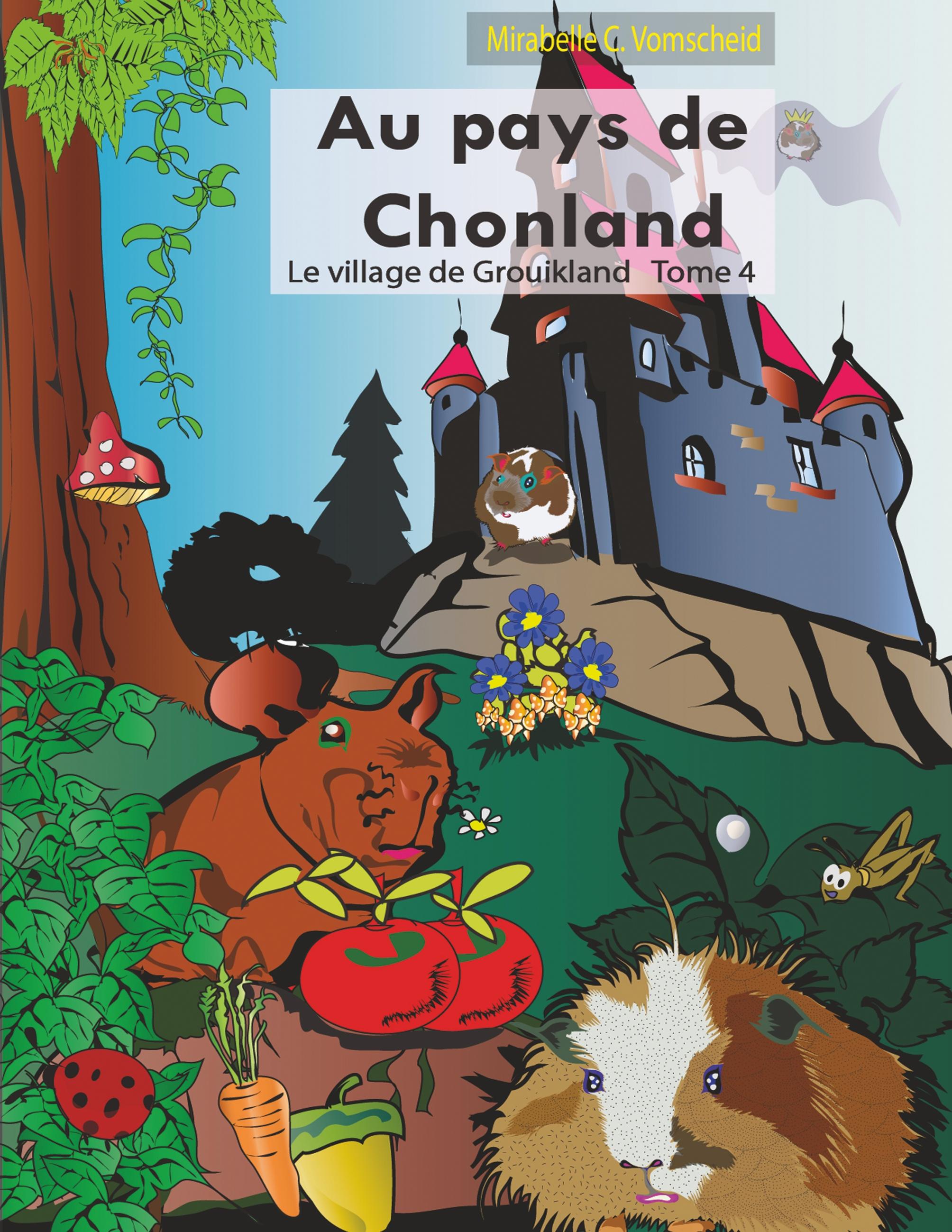 Au pays de Chonland, le village de Grouikland