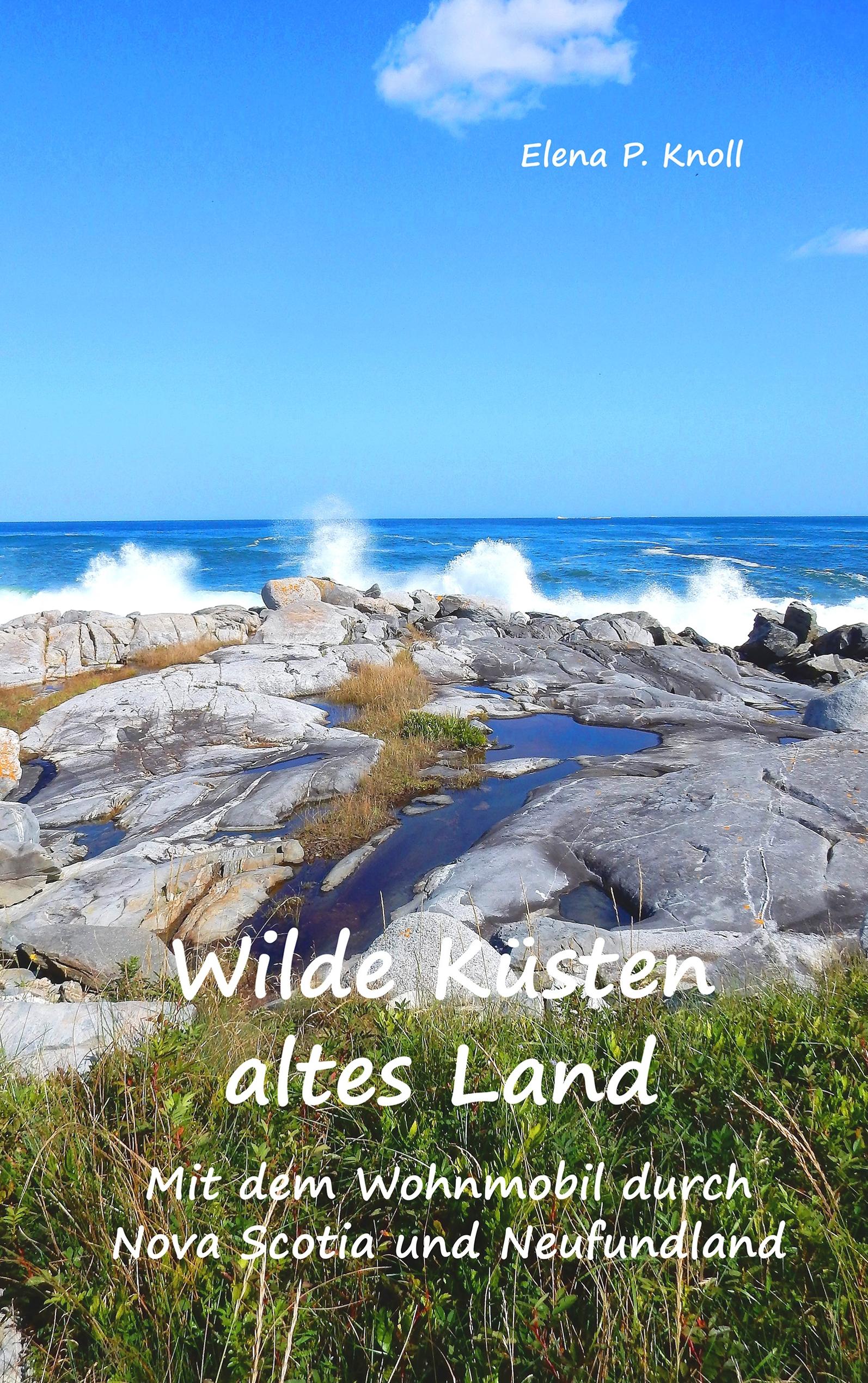 Wilde Küsten altes Land