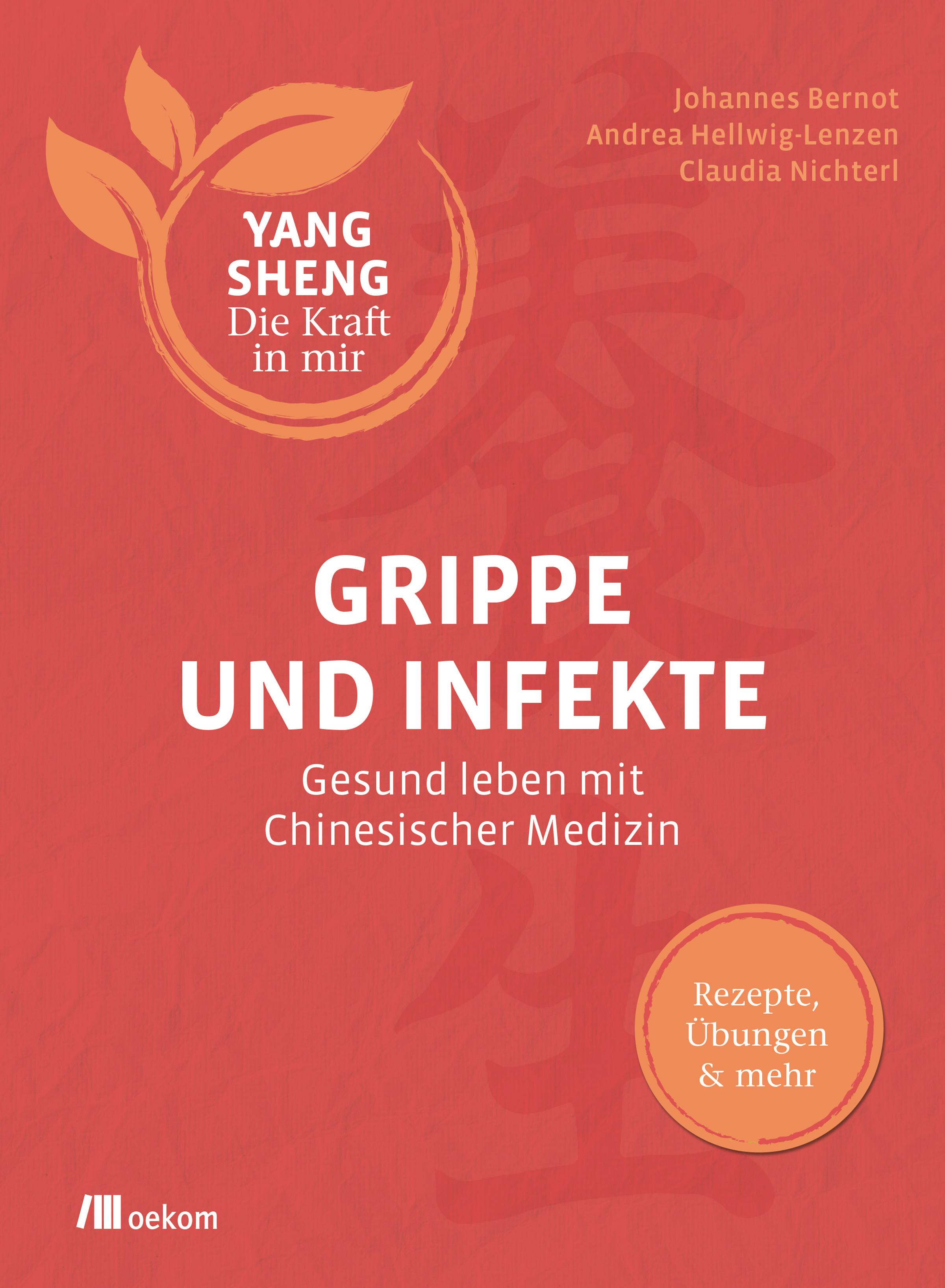 Grippe und Infekte (Yang Sheng 4)