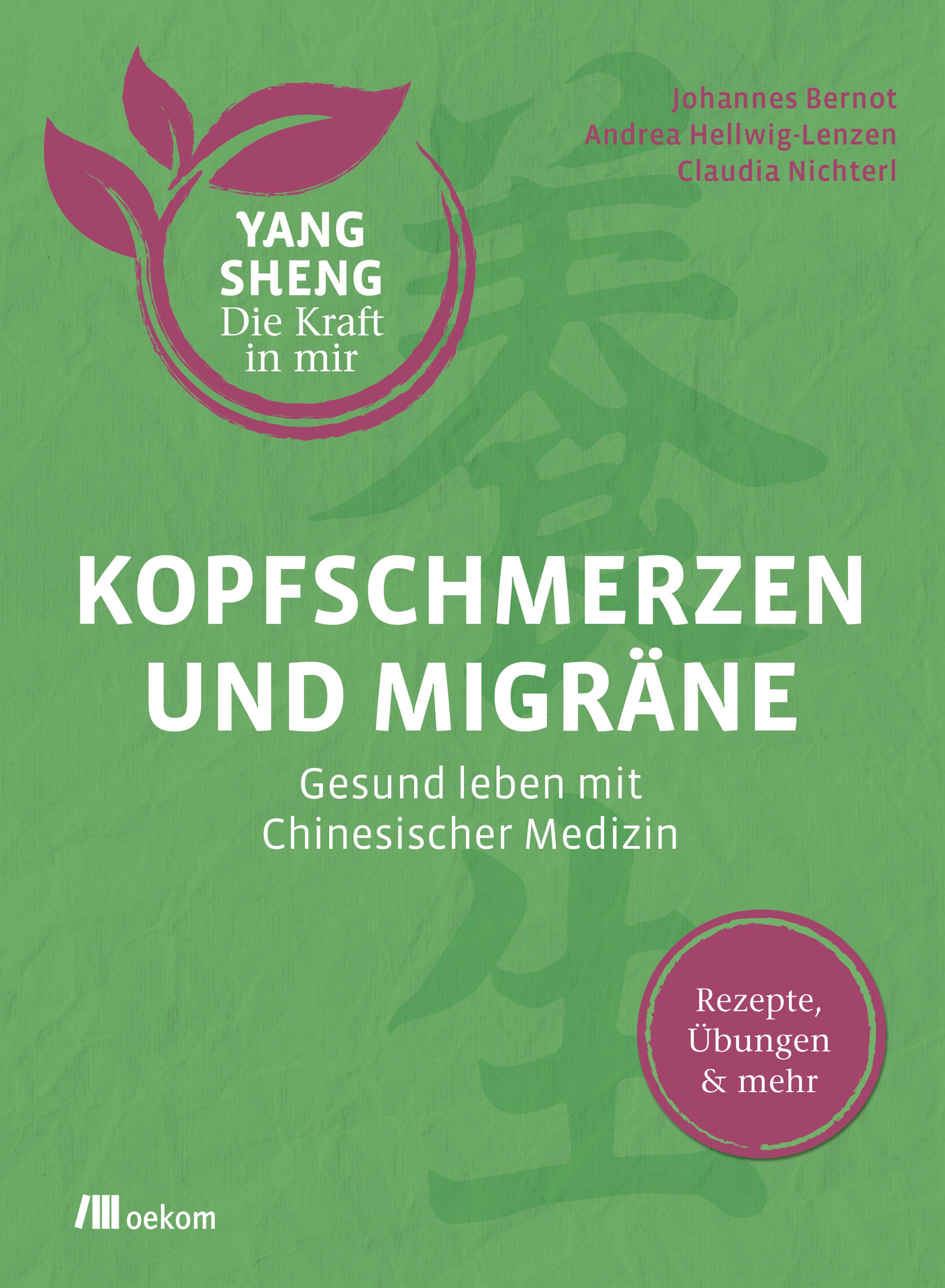 Kopfschmerzen und Migräne (Yang Sheng 5)