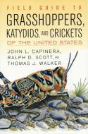 Field Guide to Grasshoppers, Katydids, and Crickets of the United States