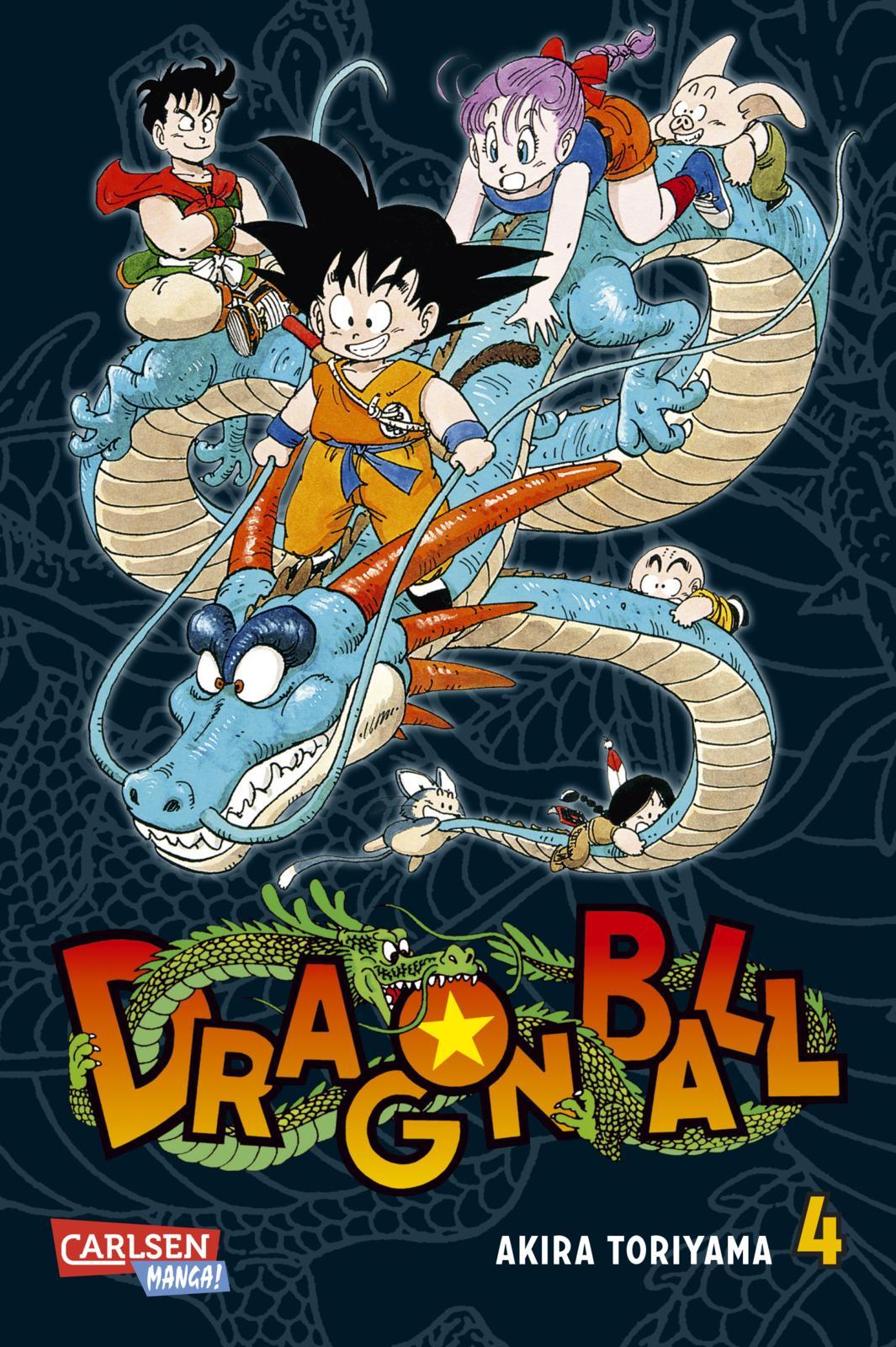 Dragon Ball Massiv 4