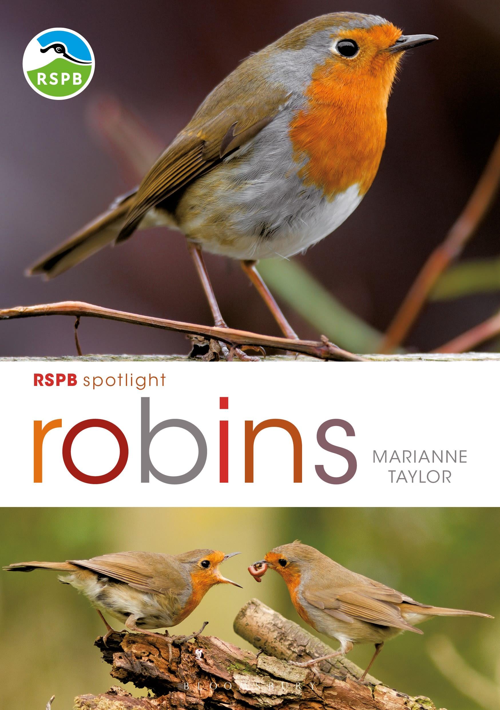 RSPB Spotlight: Robins