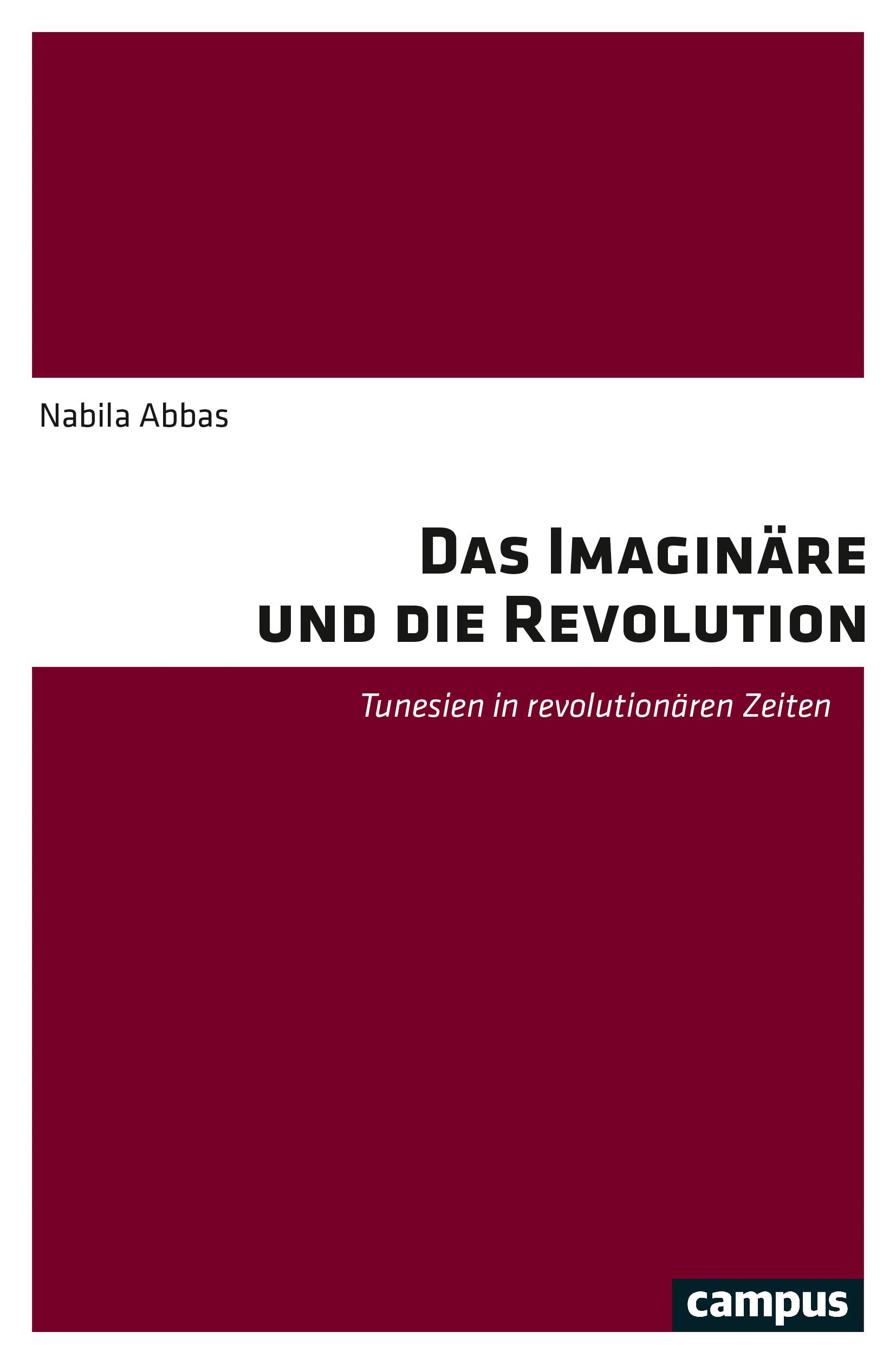 Das Imaginäre und die Revolution