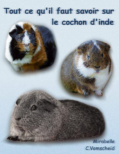 Tout ce qu'il faut savoir sur le cochon d'inde (nouvelle édition)