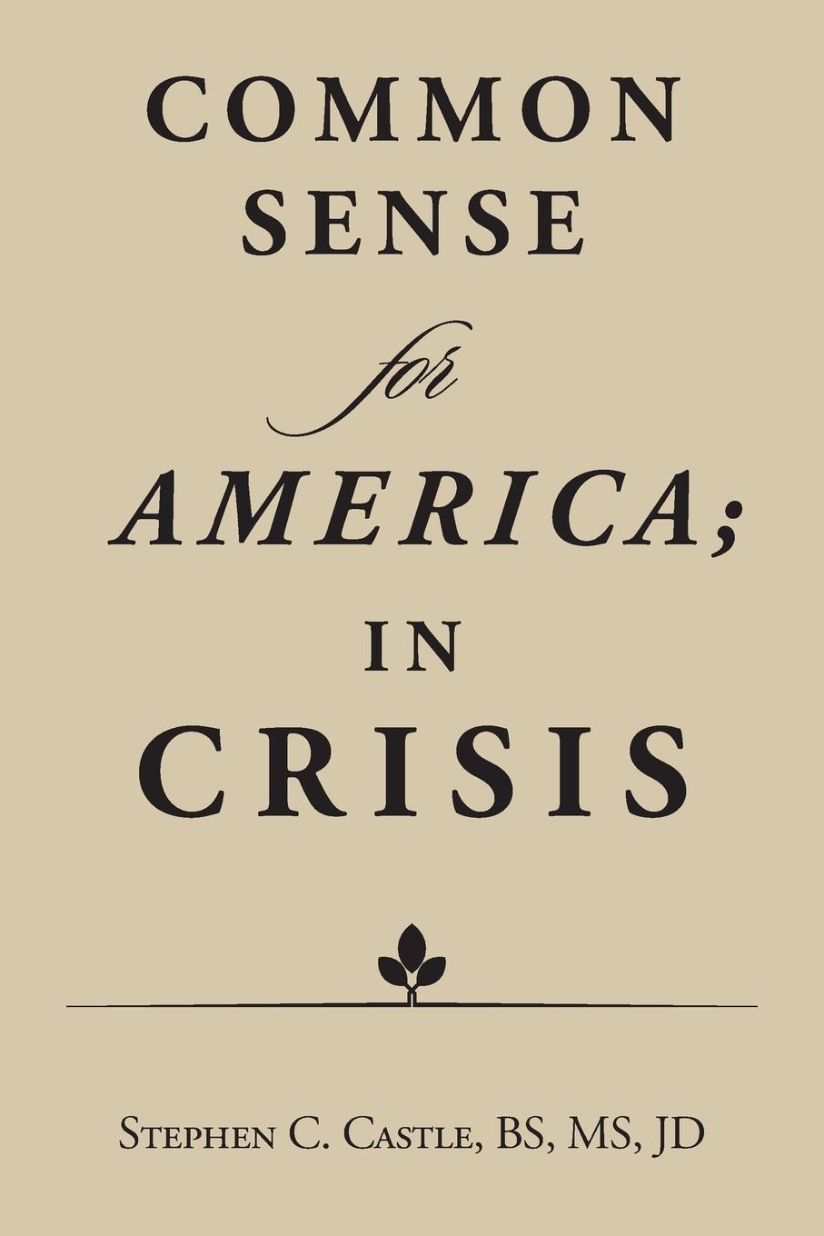 Common Sense for America; in Crisis