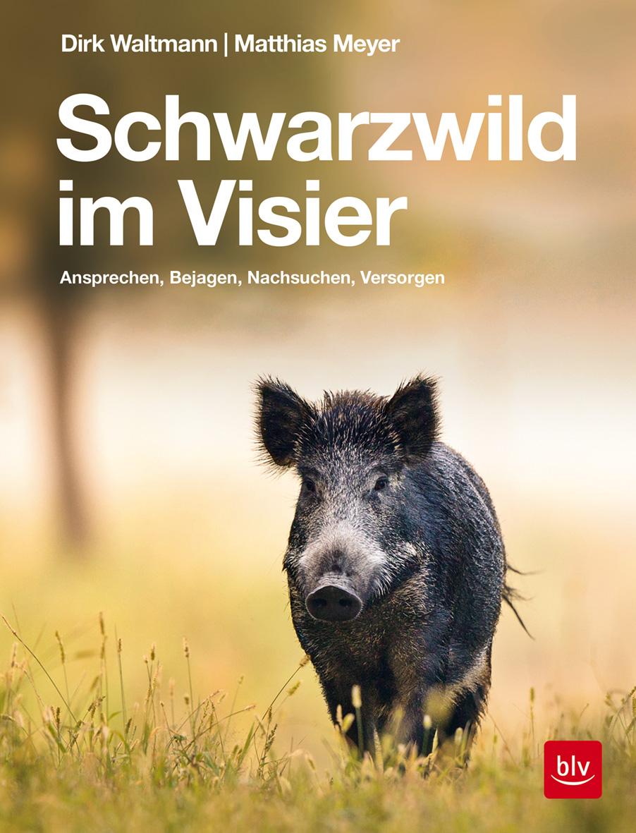 Schwarzwild im Visier