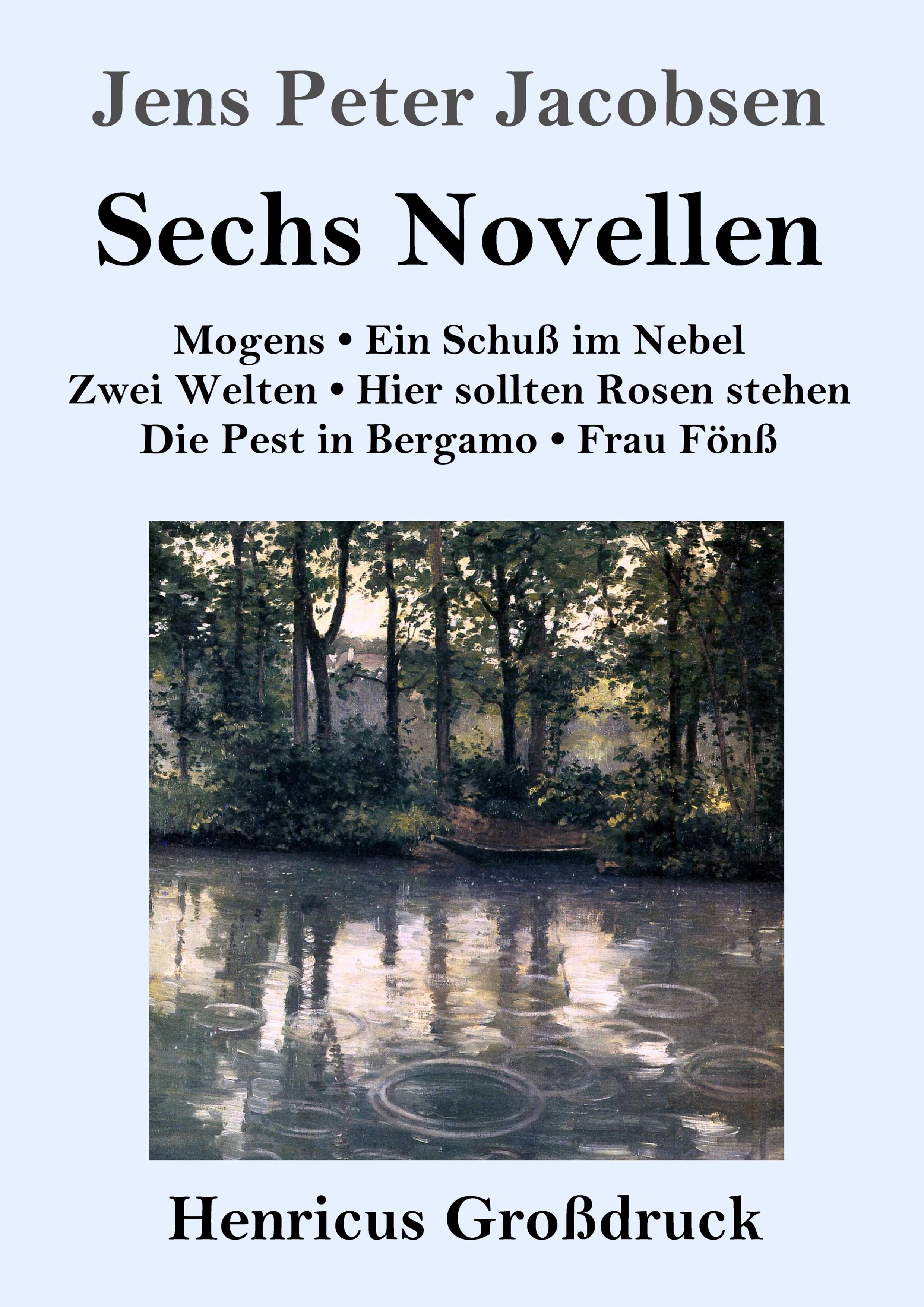 Sechs Novellen (Großdruck)