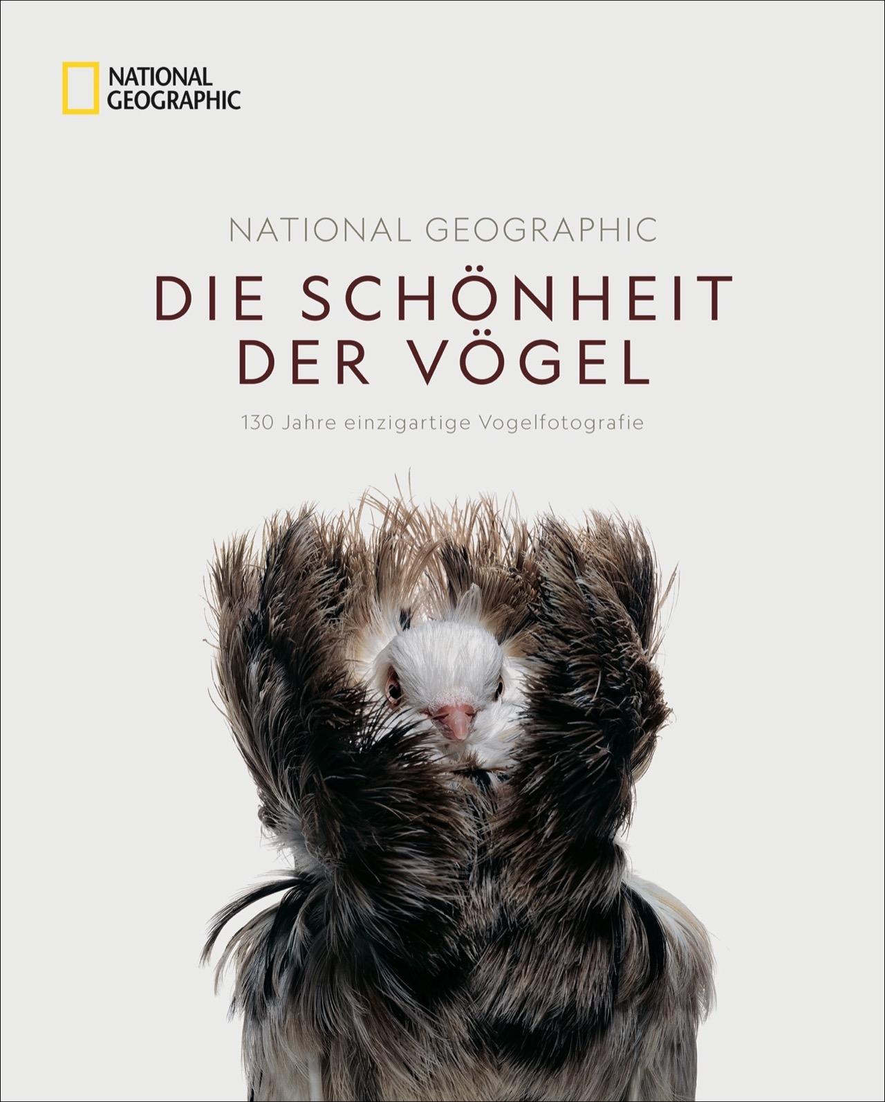 National Geographic Die Schönheit der Vögel