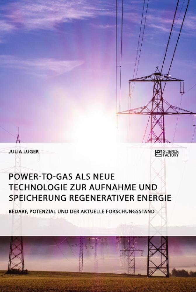 Power-to-Gas als neue Technologie zur Aufnahme und Speicherung regenerativer Energie. Bedarf, Potenzial und der aktuelle Forschungsstand