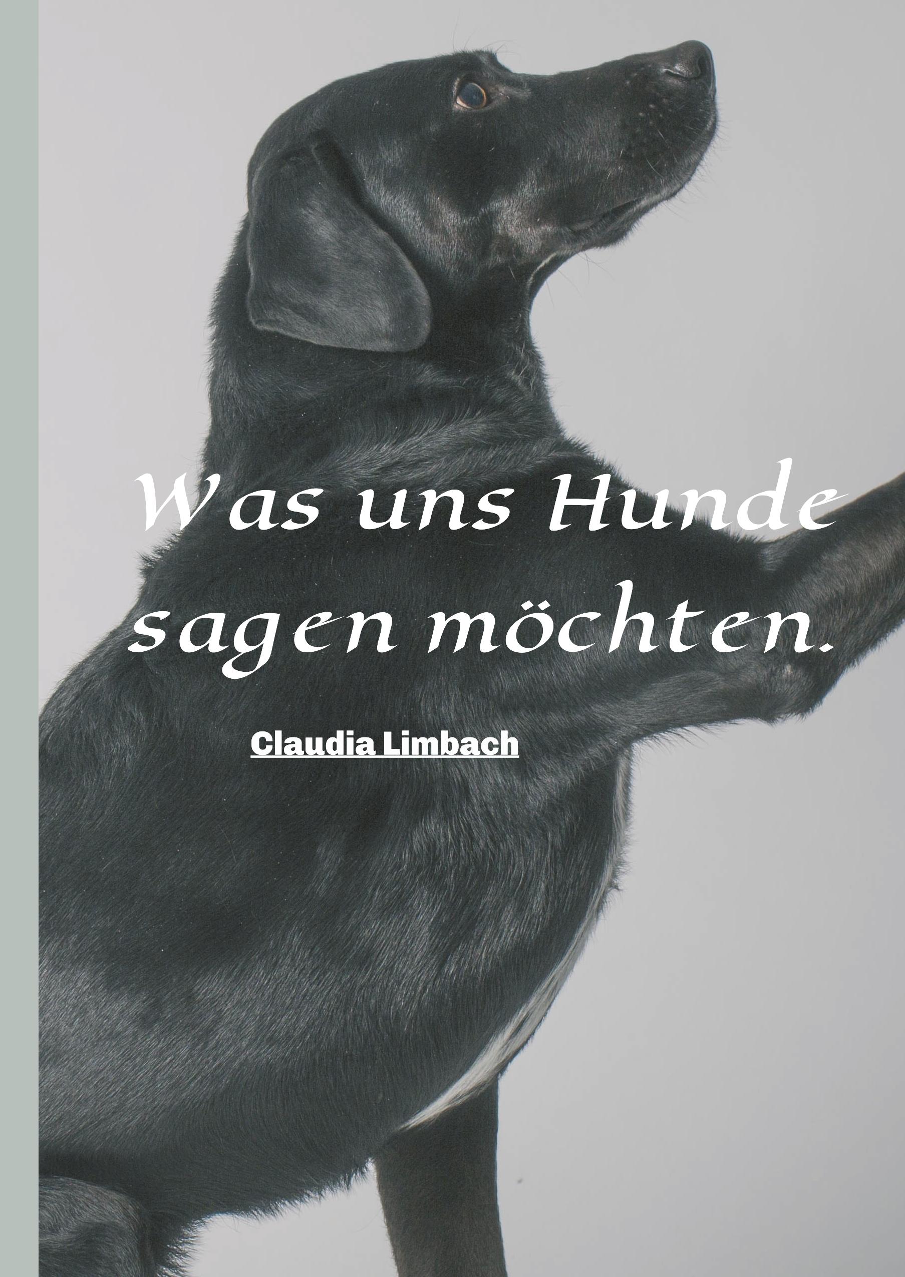 Was uns Hunde sagen möchten