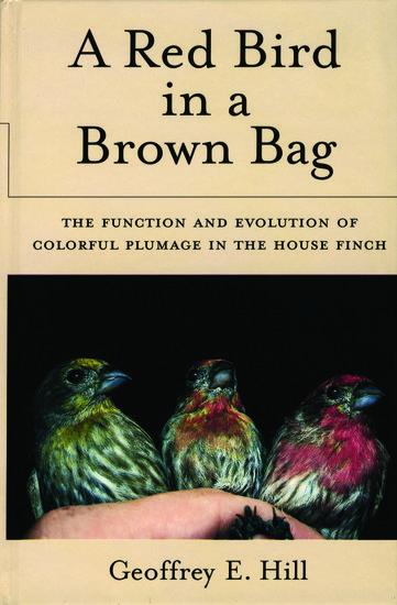 A Red Bird in a Brown Bag