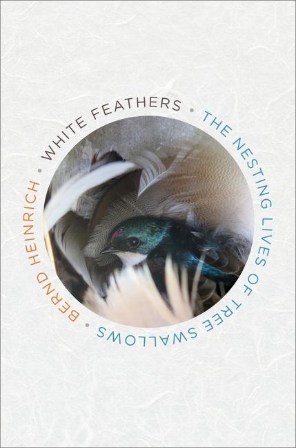 White Feathers