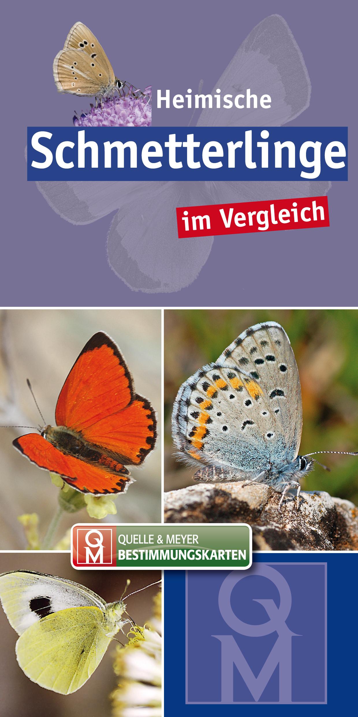 Heimische Schmetterlinge