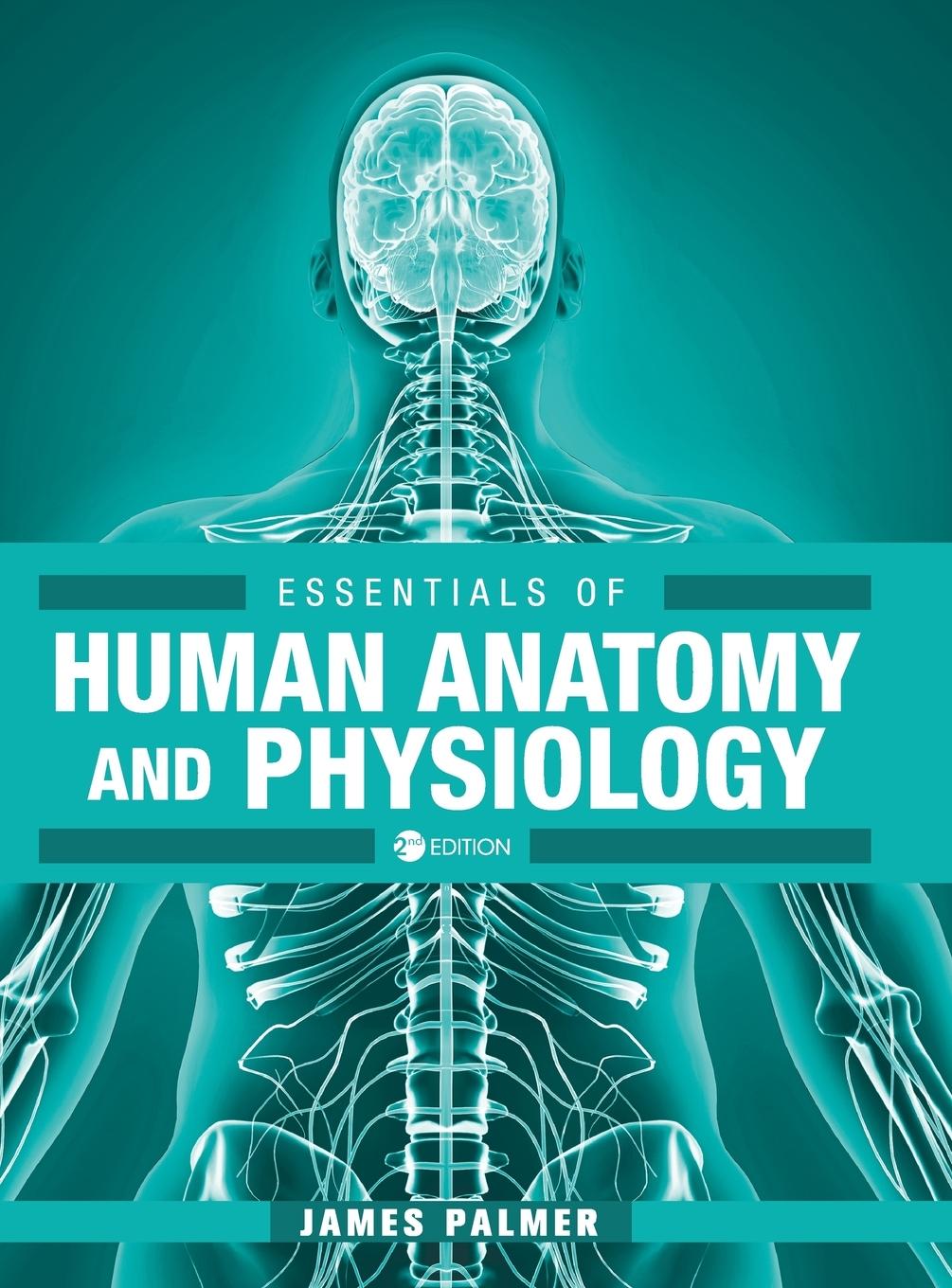 Essentials of Human Anatomy and Physiology