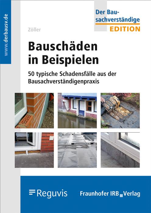 Bauschäden in Beispielen.