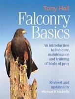 Falconry Basics