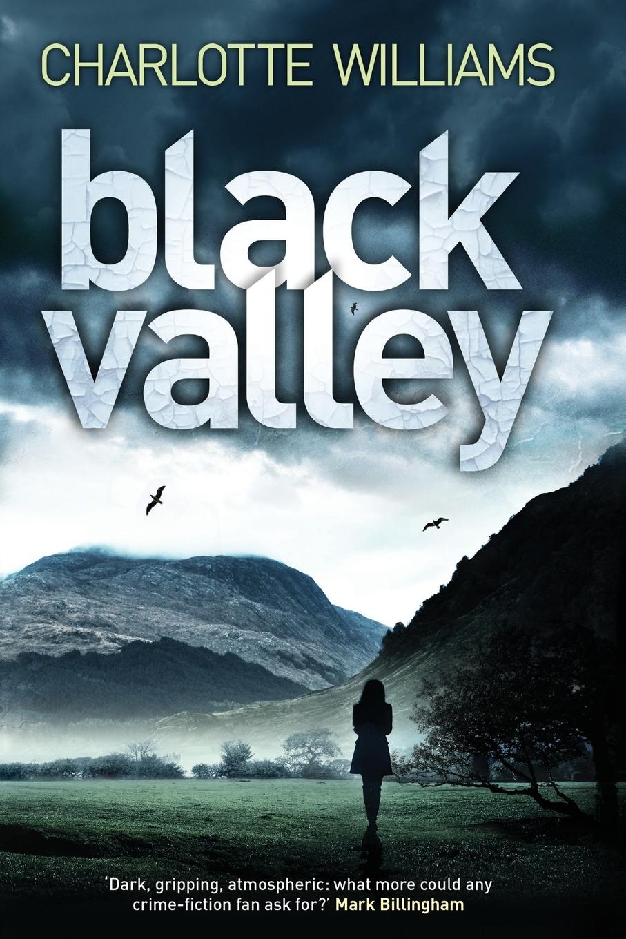 Black Valley