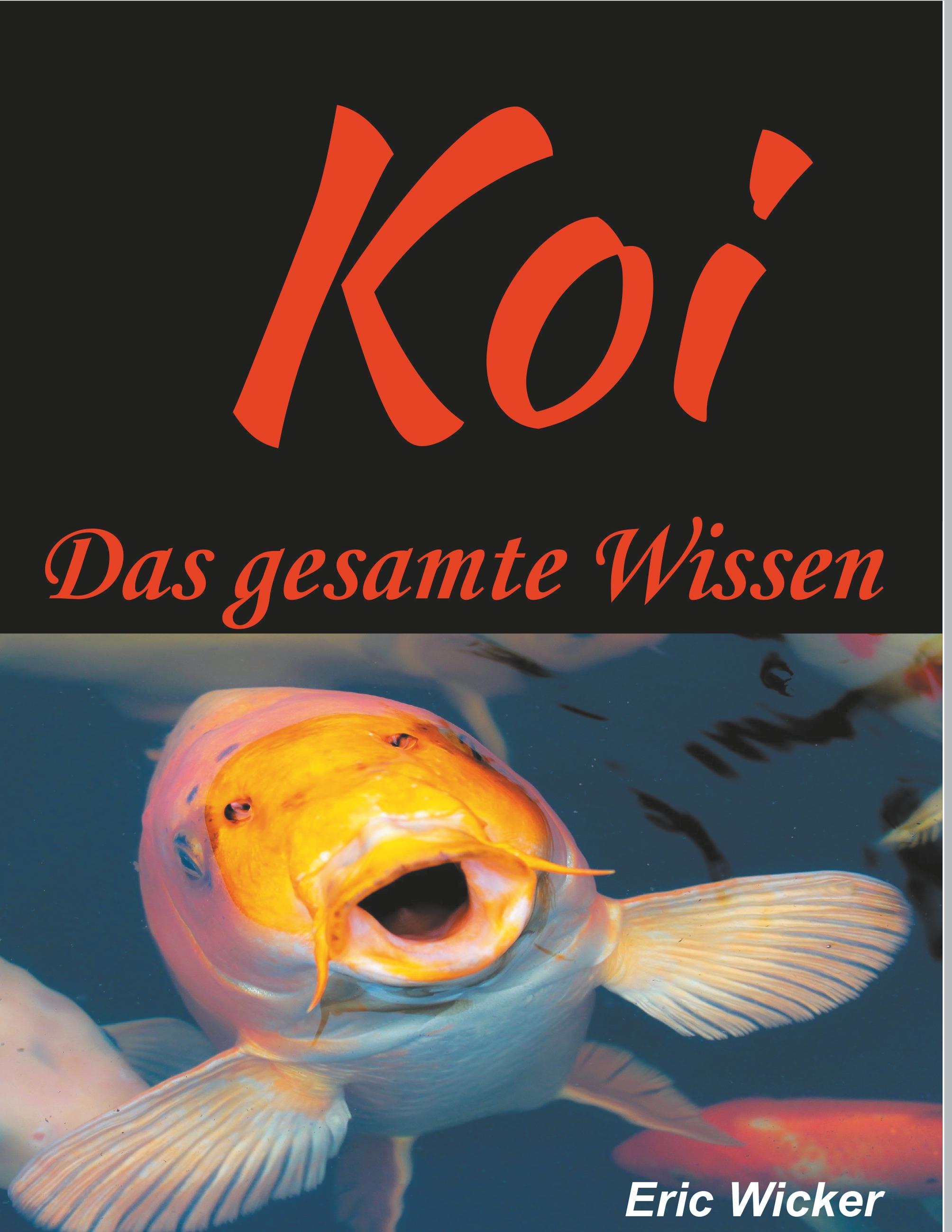 Die Koiwelt