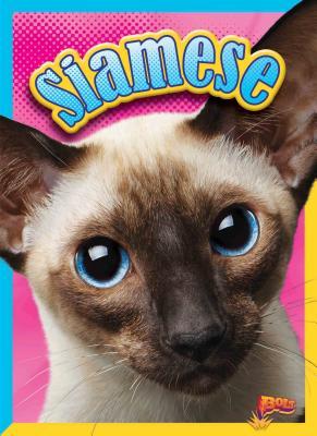 Siamese