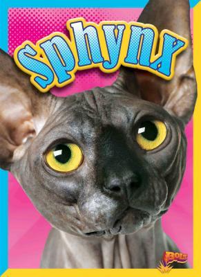 Sphynx