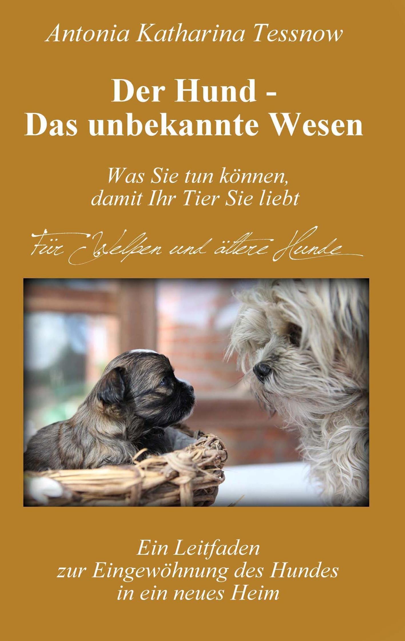 Der Hund - Das unbekannte Wesen