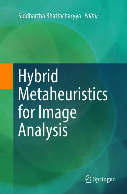 Hybrid Metaheuristics for Image Analysis