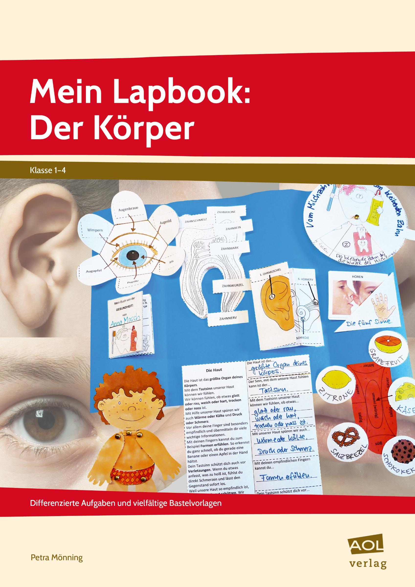 Mein Lapbook: Der Körper