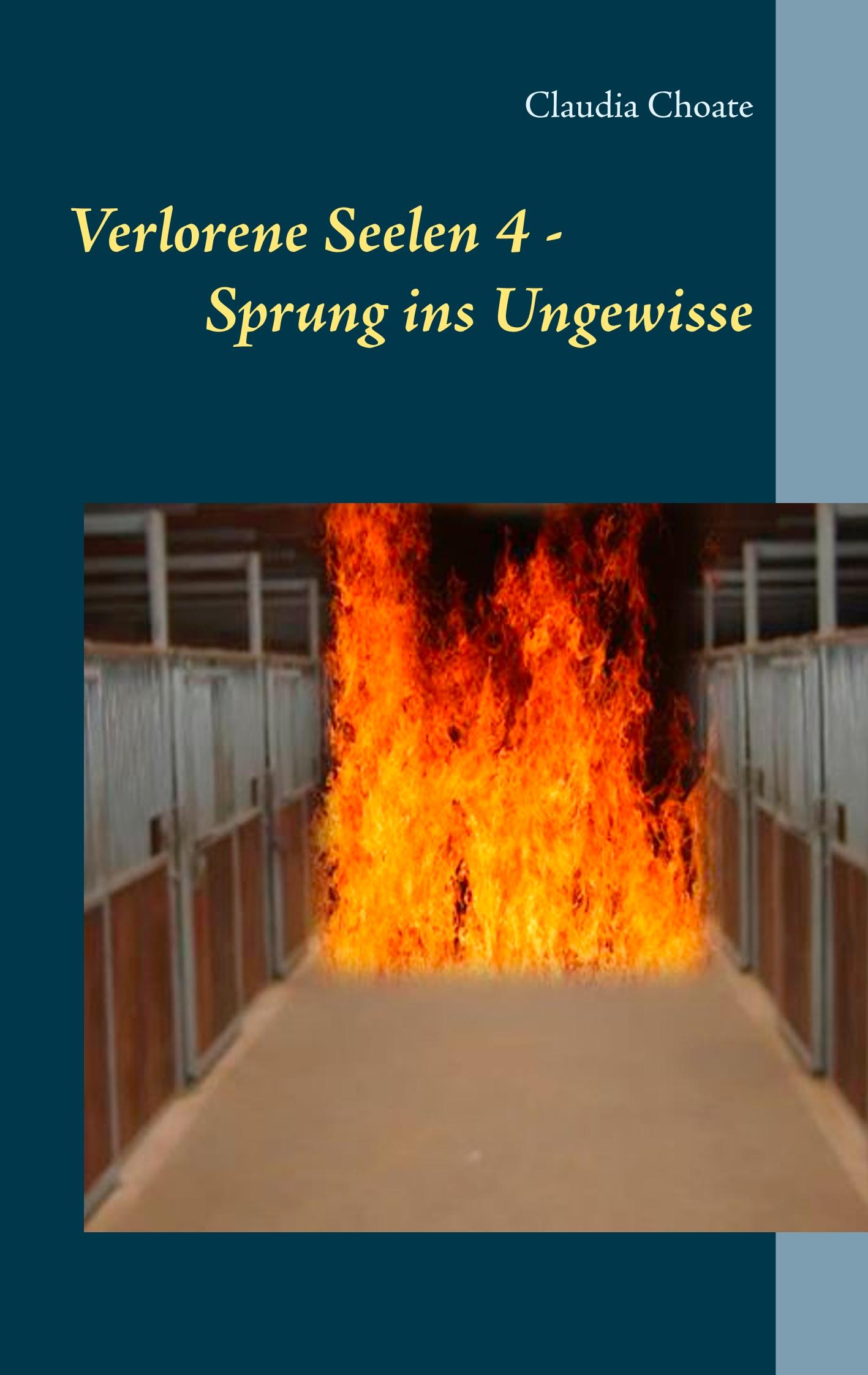 Verlorene Seelen 4 - Sprung ins Ungewisse