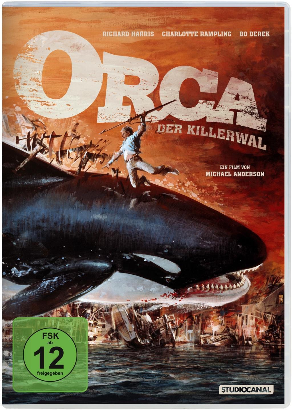 Orca der Killerwal