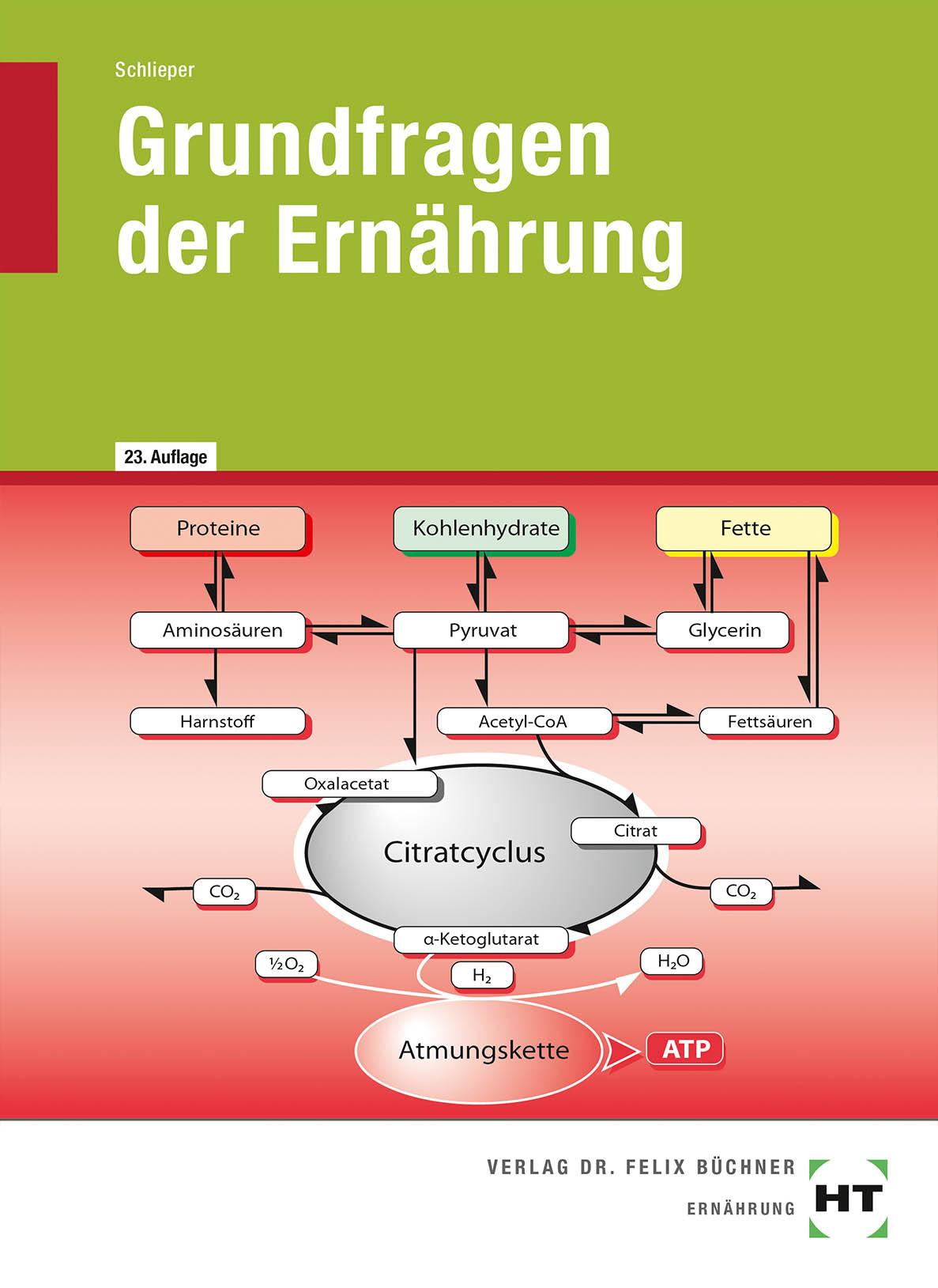 Grundfragen der Ernährung