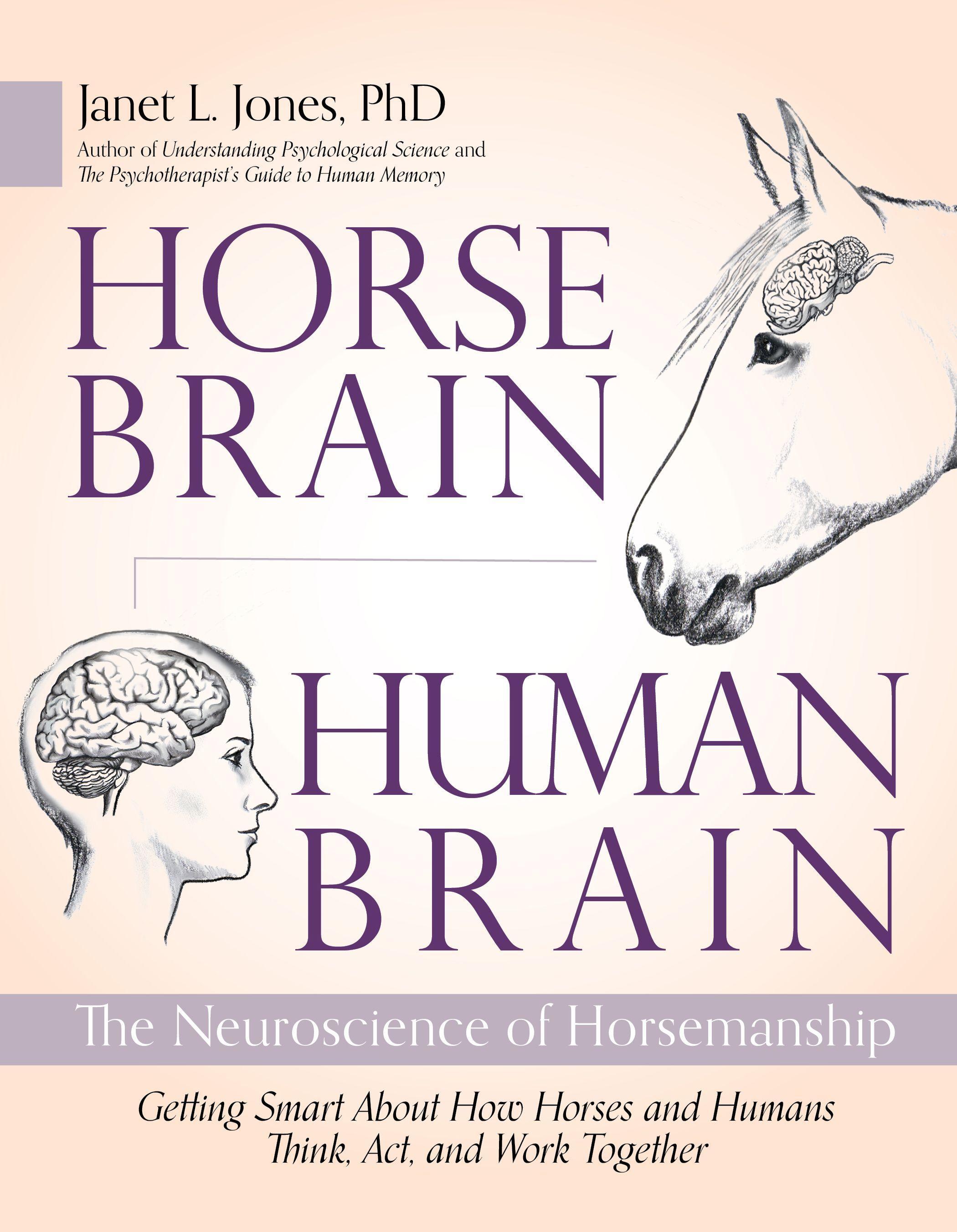 Horse Brain, Human Brain: The Neuroscience of Horsemanship