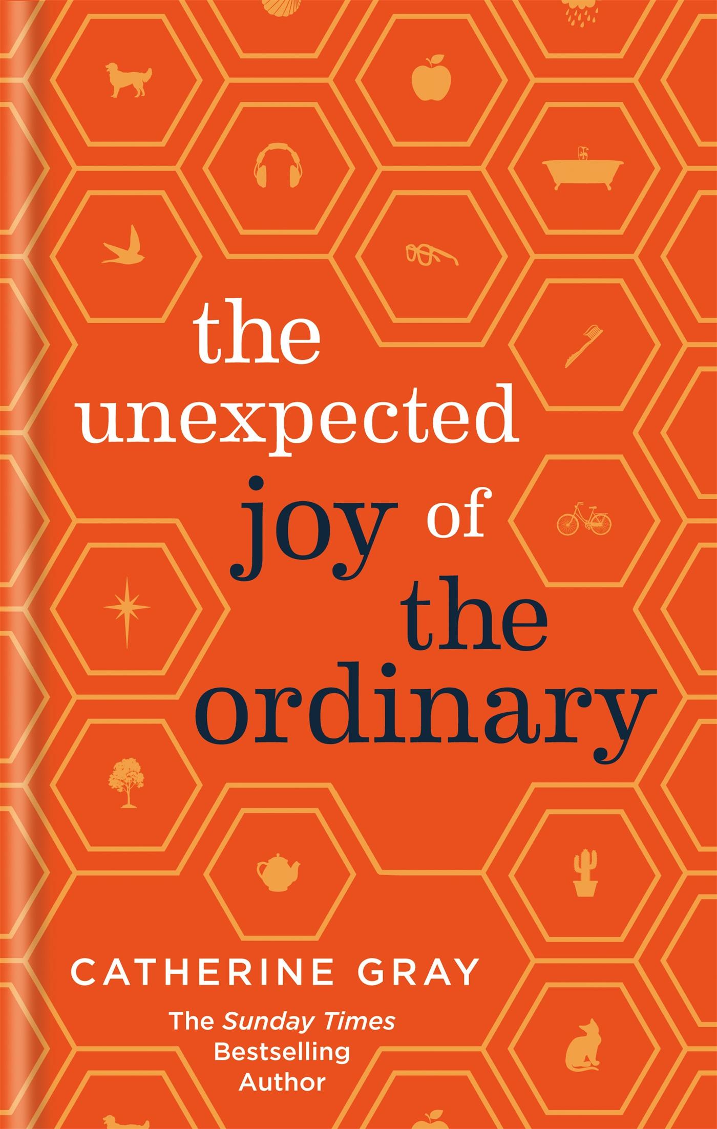 The Unexpected Joy of the Ordinary