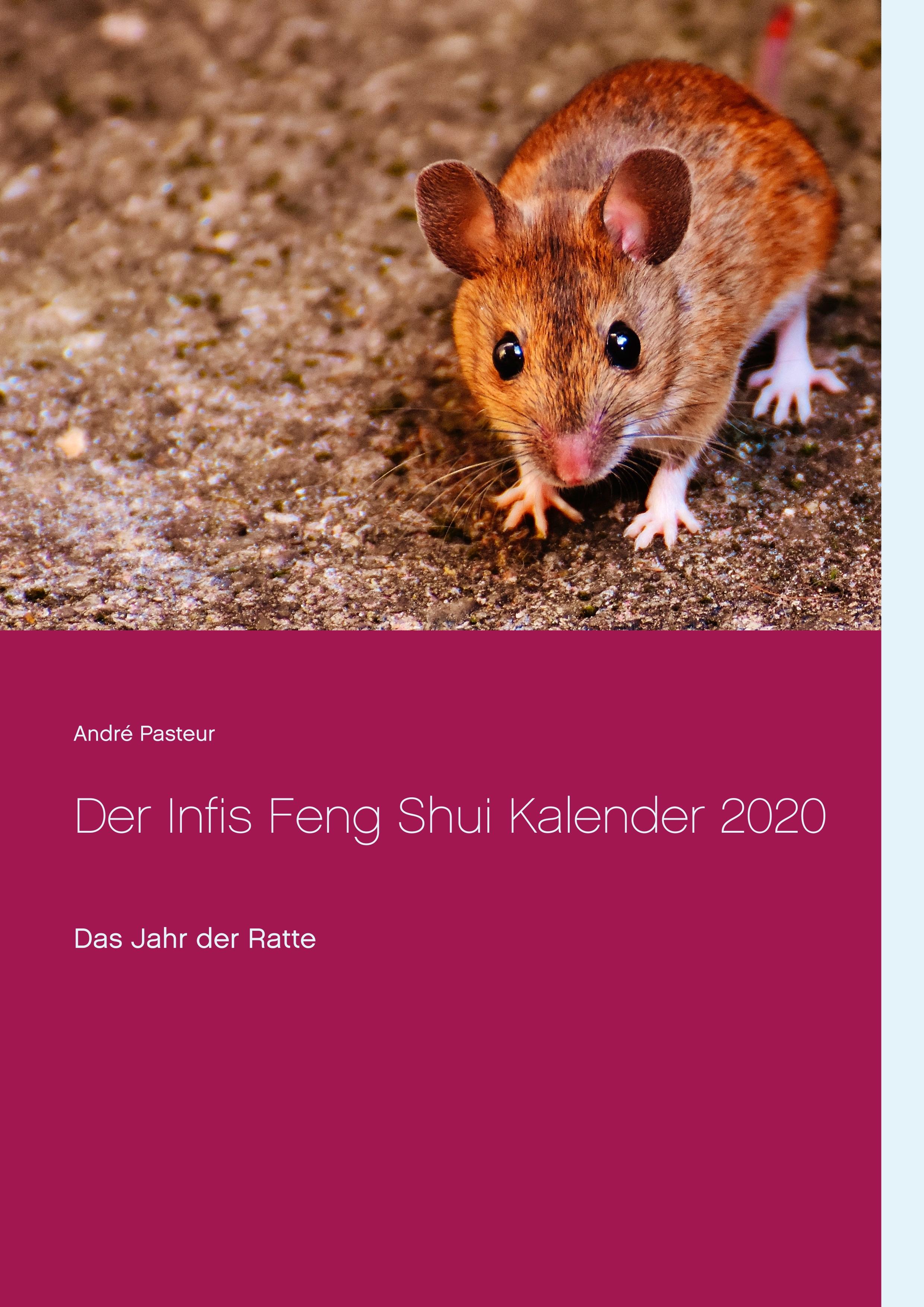 Der Infis Feng Shui Kalender 2020