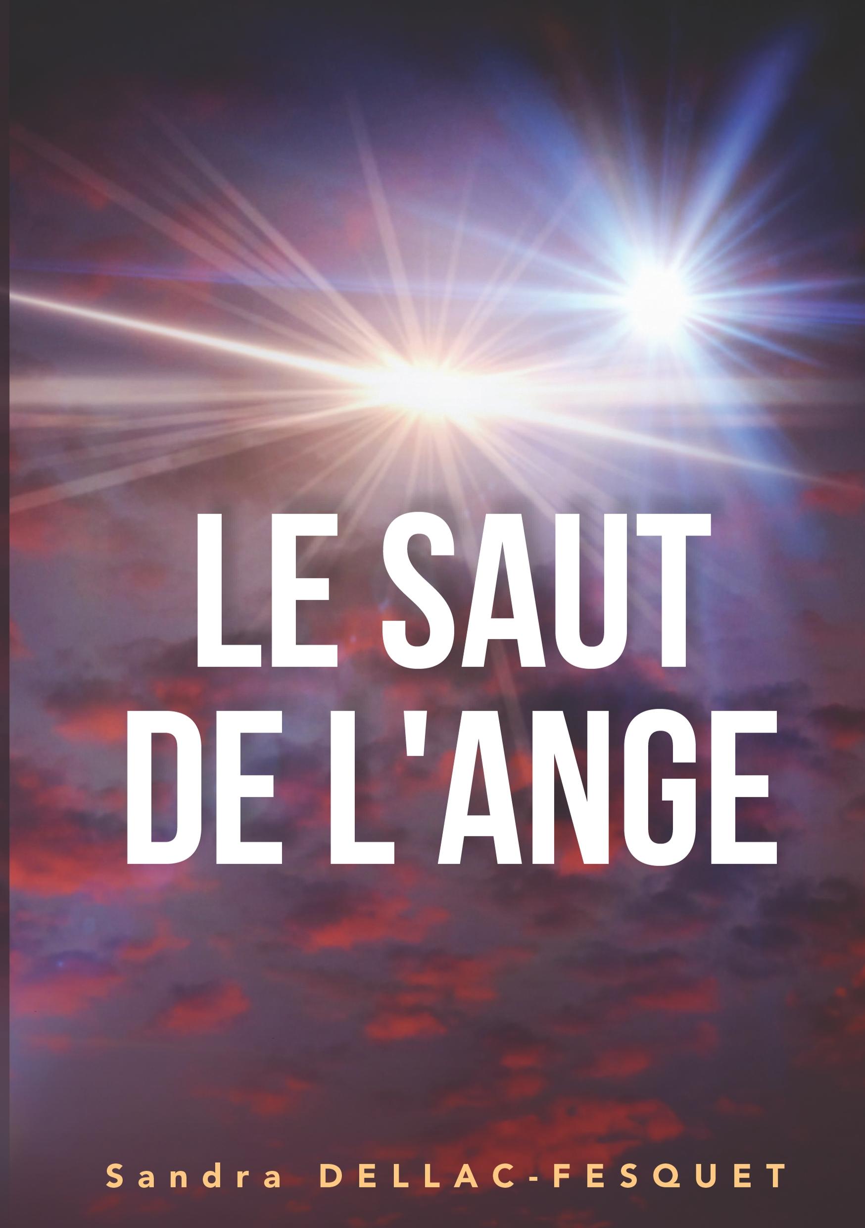 Le Saut de l'Ange