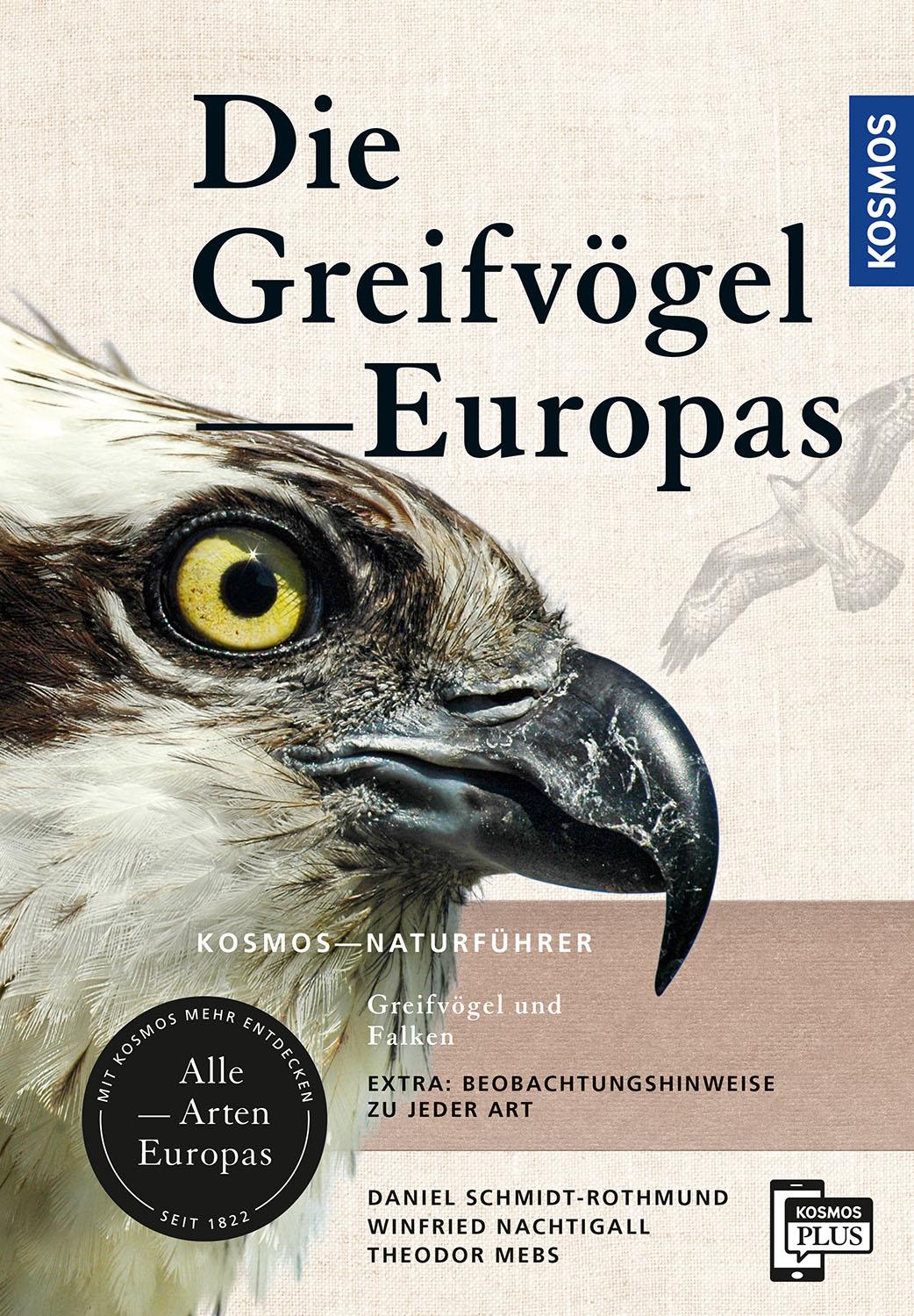 Greifvögel Europas