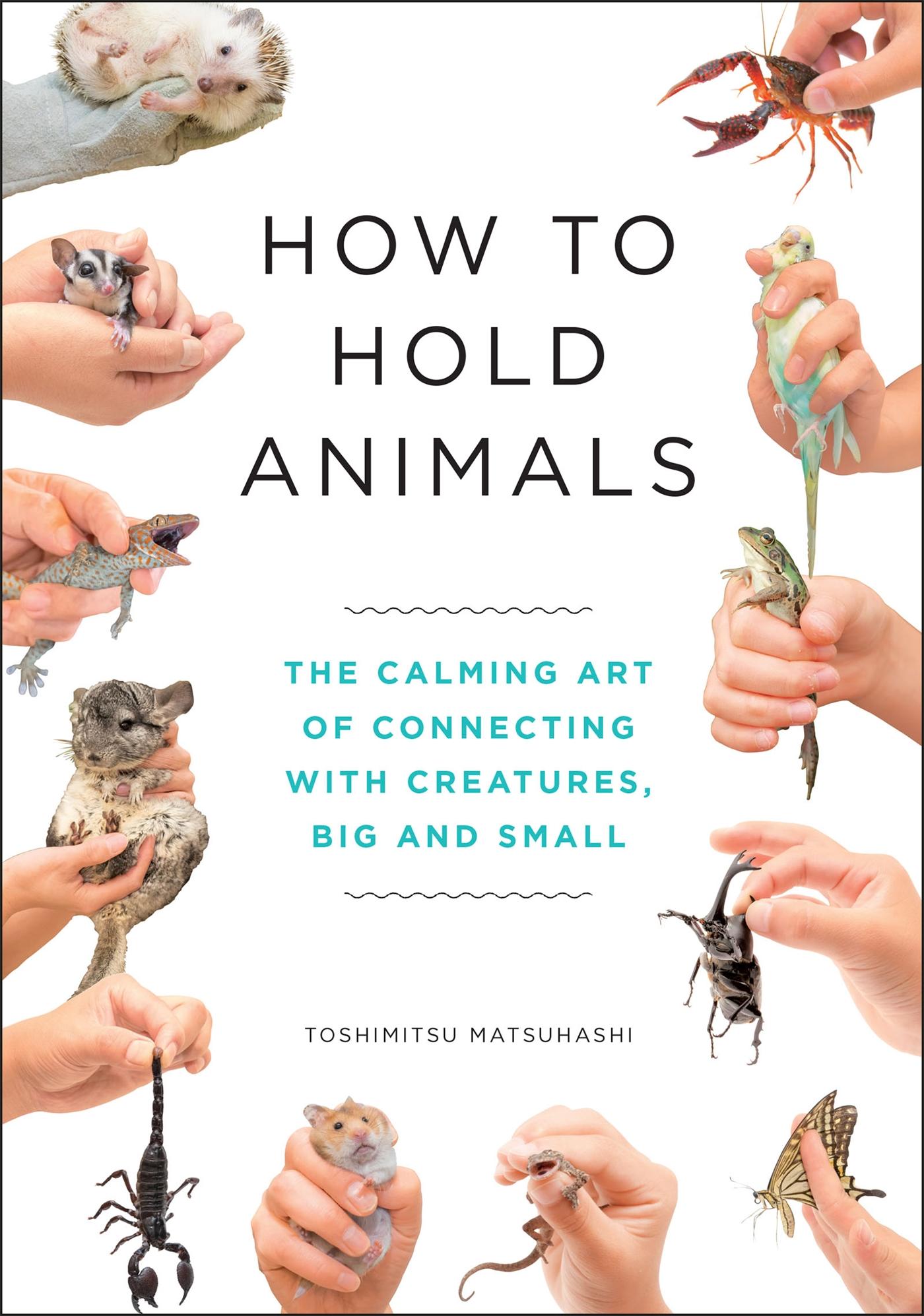 How to Hold Animals