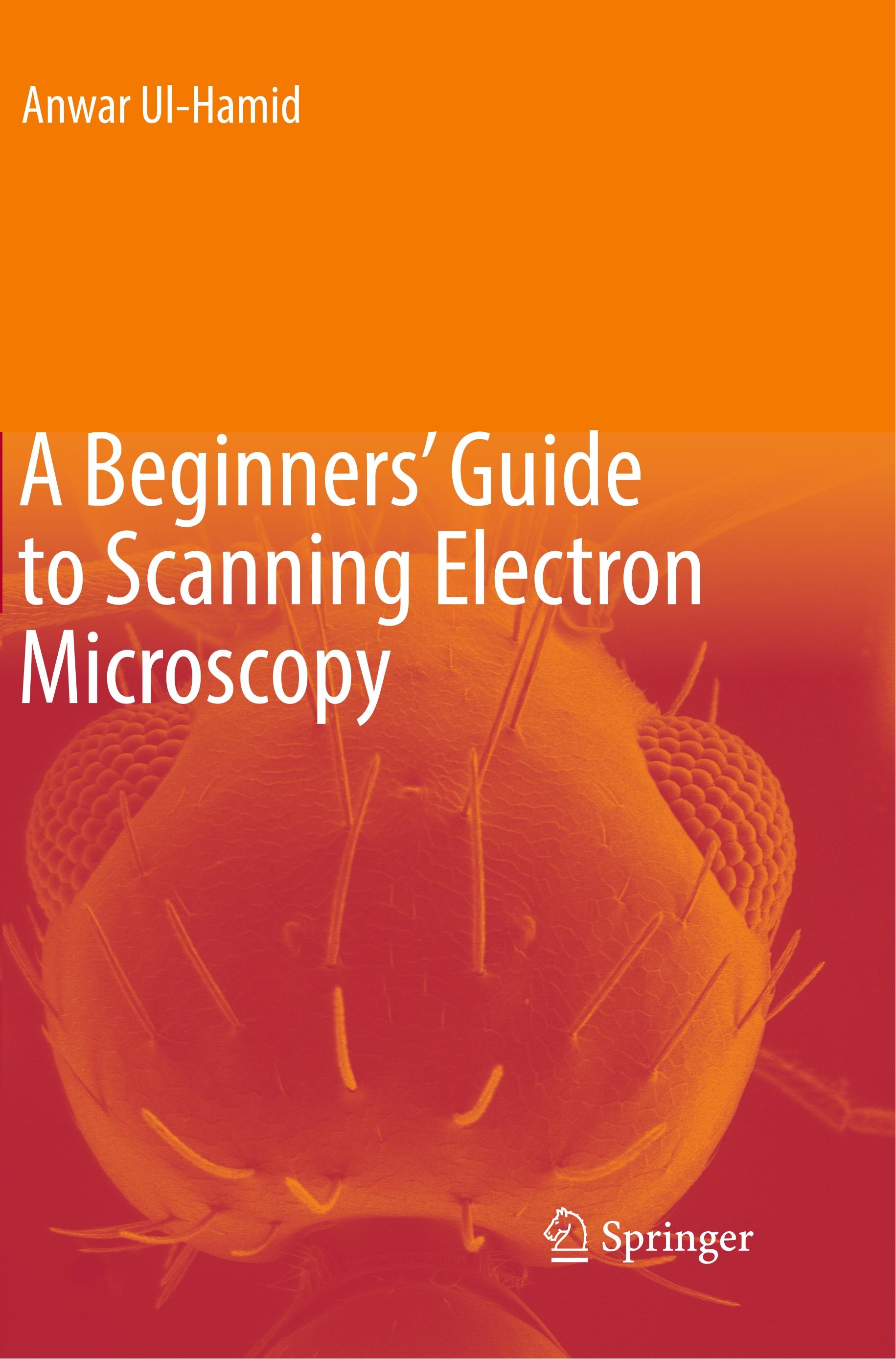 A Beginners' Guide to Scanning Electron Microscopy