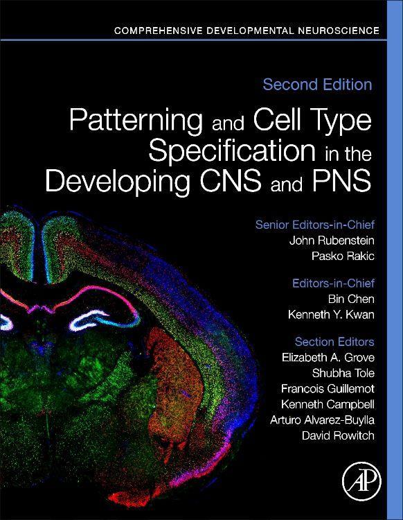 Patterning and Cell Type Specification in the Developing CNS and Pns