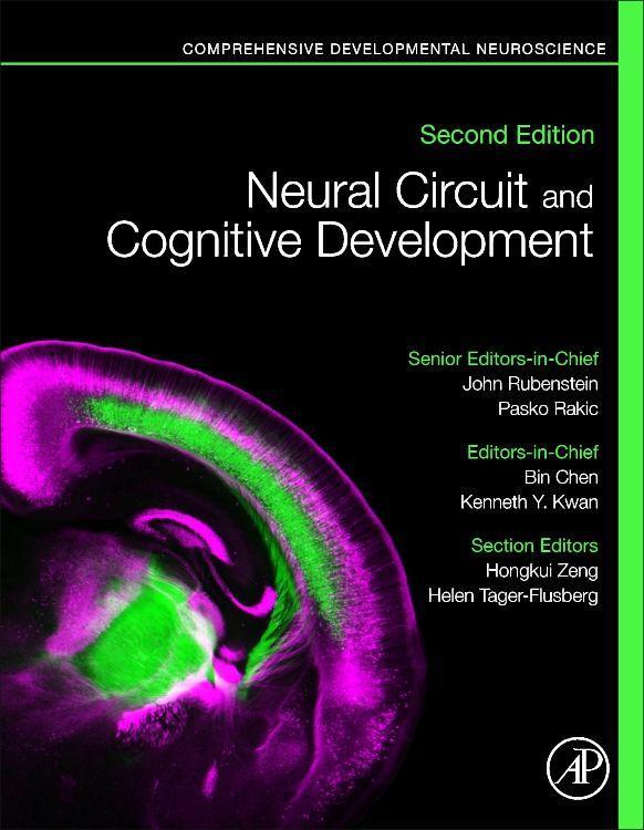 Neural Circuit and Cognitive Development