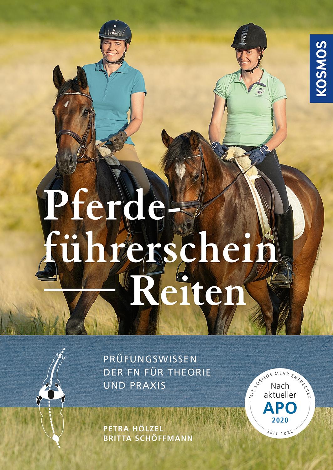 Pferdeführerschein Reiten