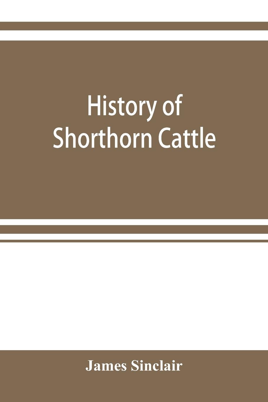 History of Shorthorn cattle