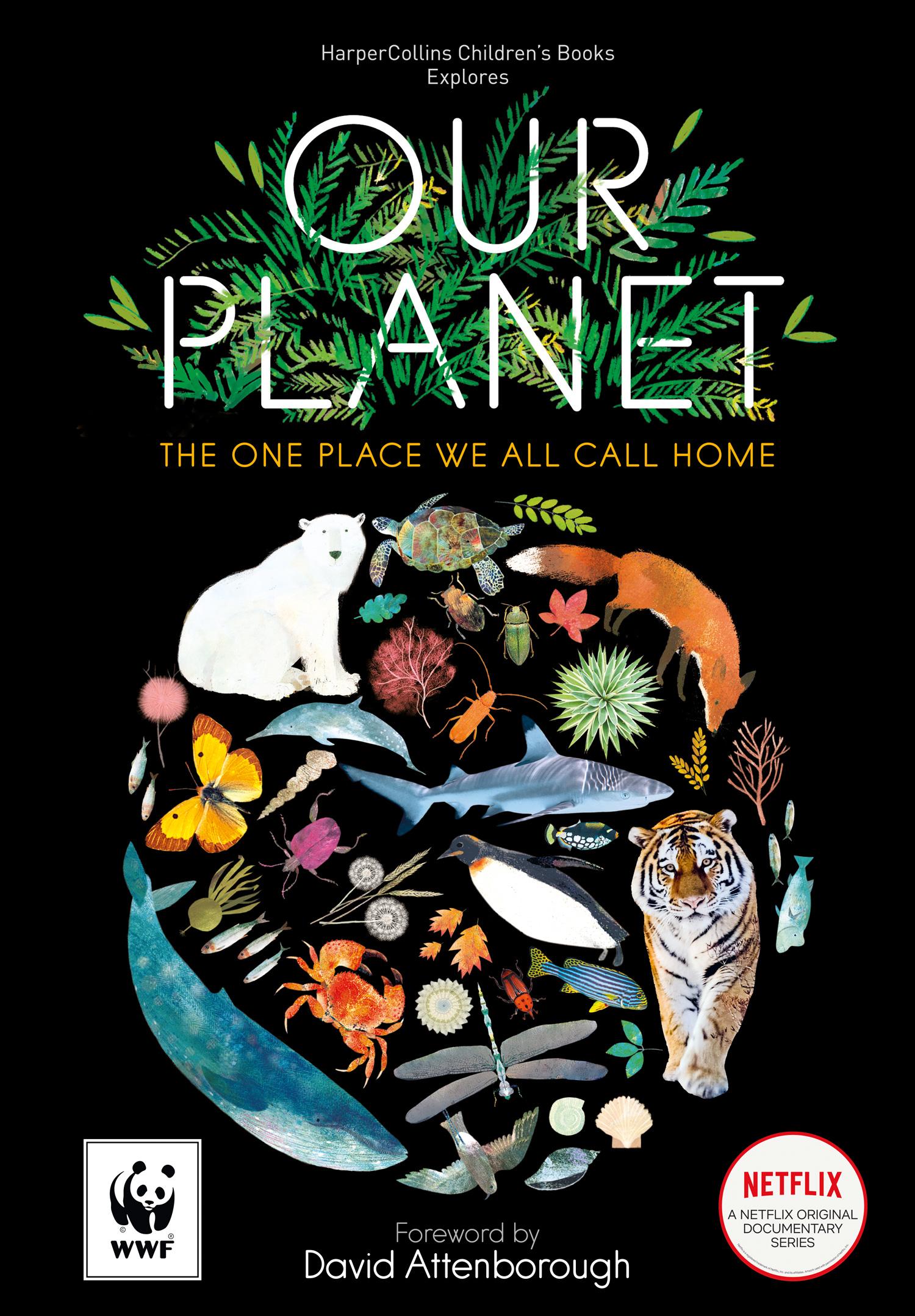 Our Planet: The One Place We All Call Home