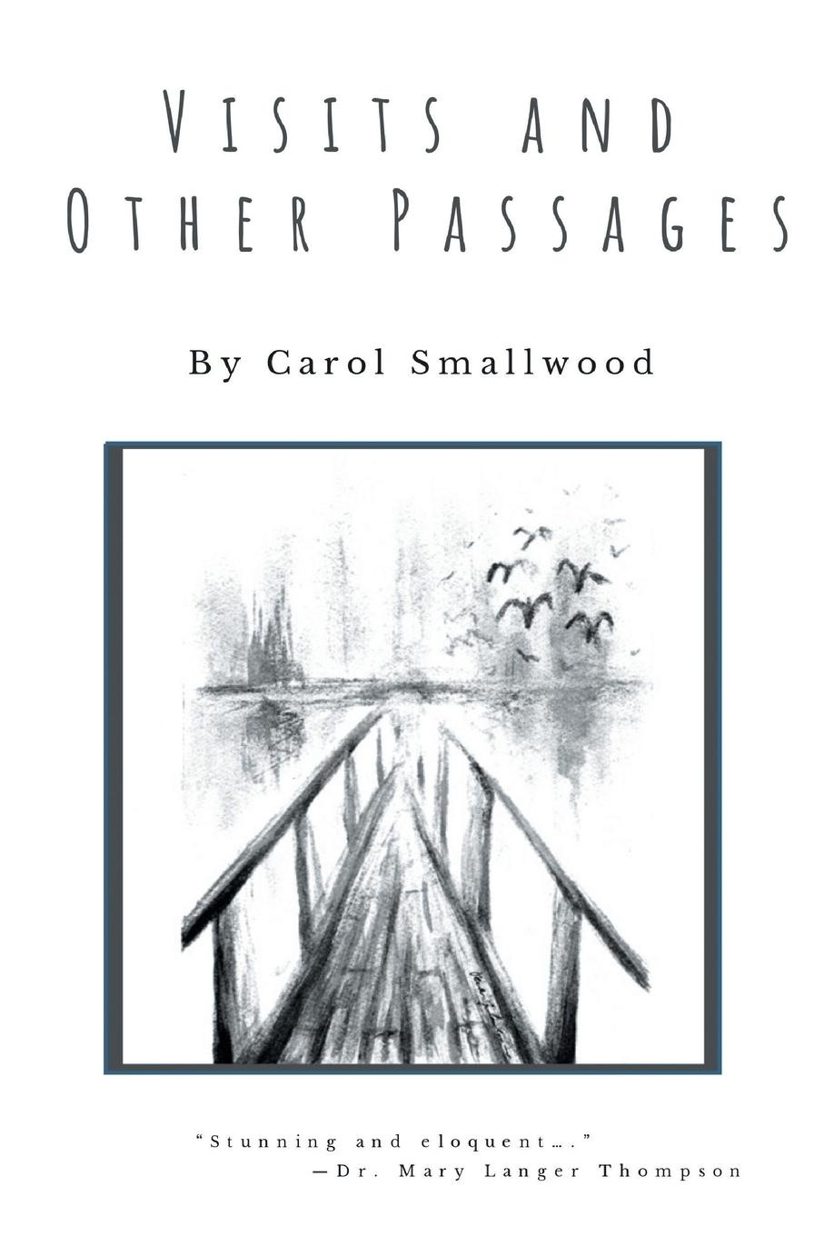 Visits and Other Passages