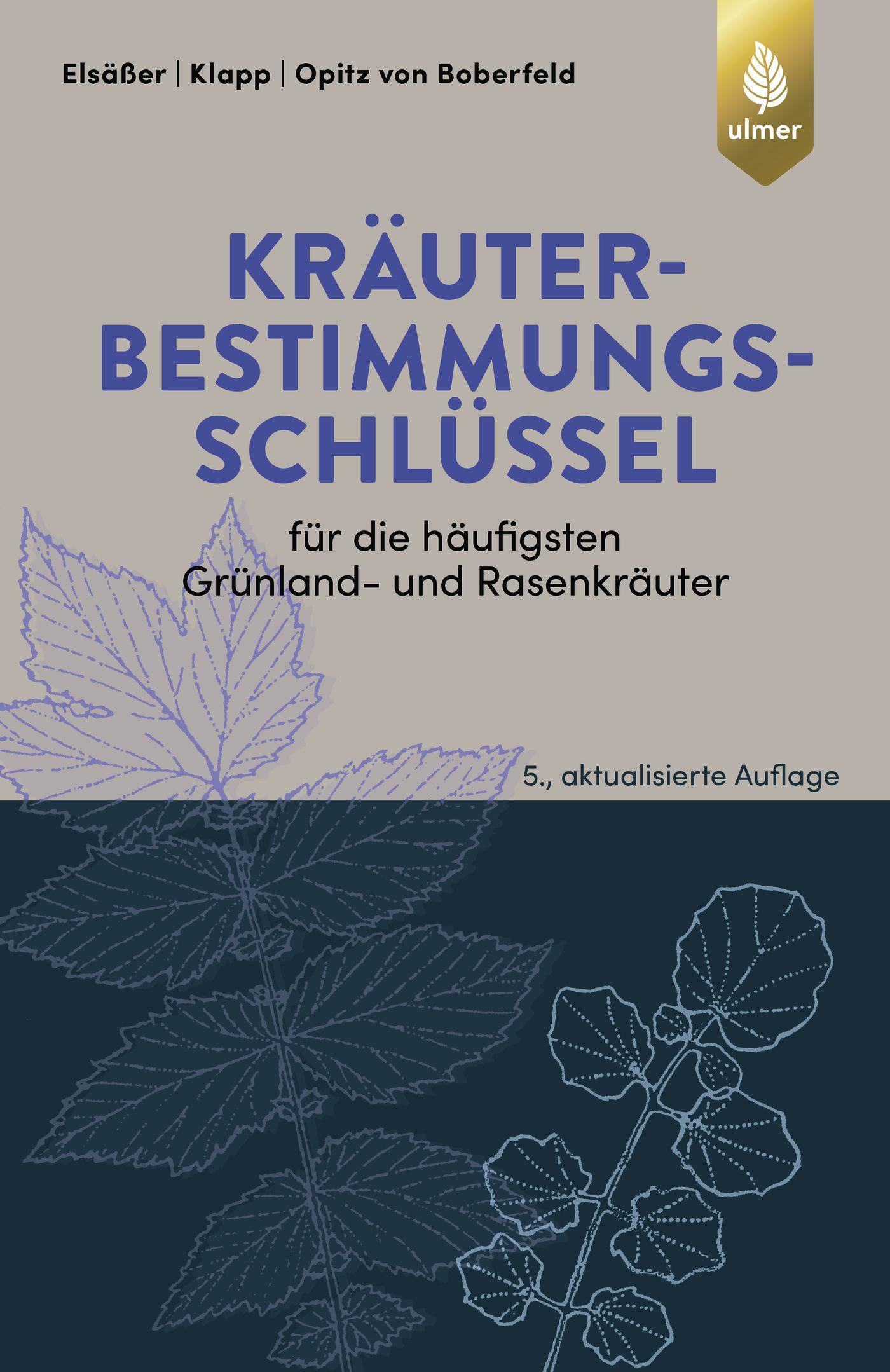 Kräuterbestimmungsschlüssel für die häufigsten Grünland- und Rasenkräuter