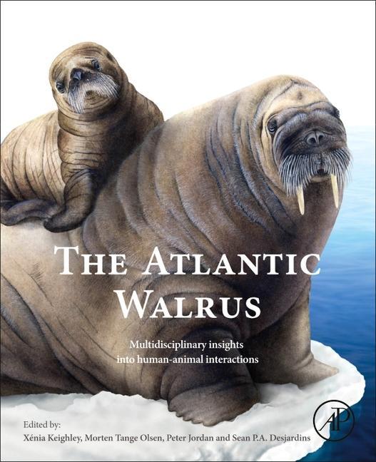 The Atlantic Walrus