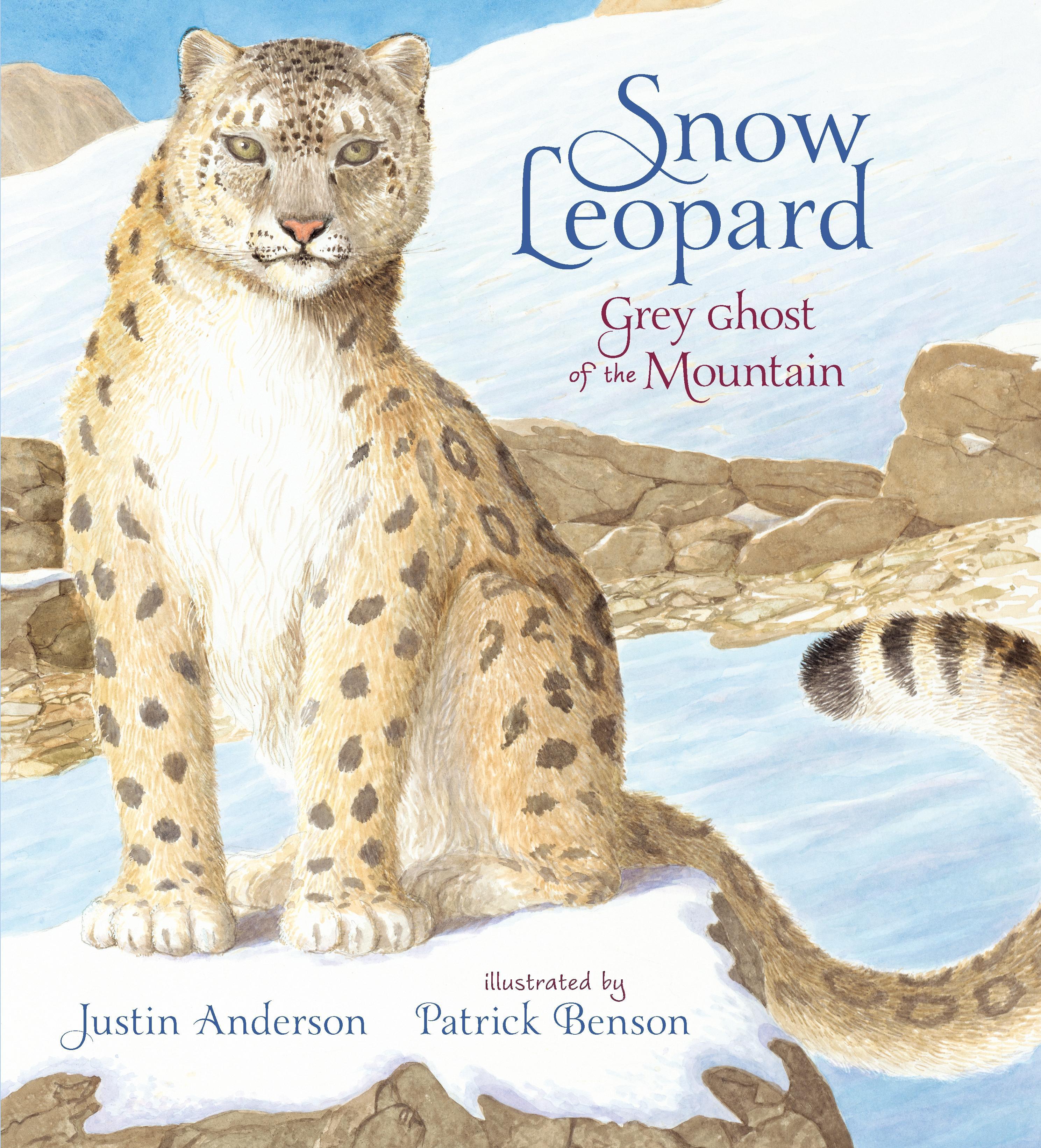 Snow Leopard: Grey Ghost of the Mountain