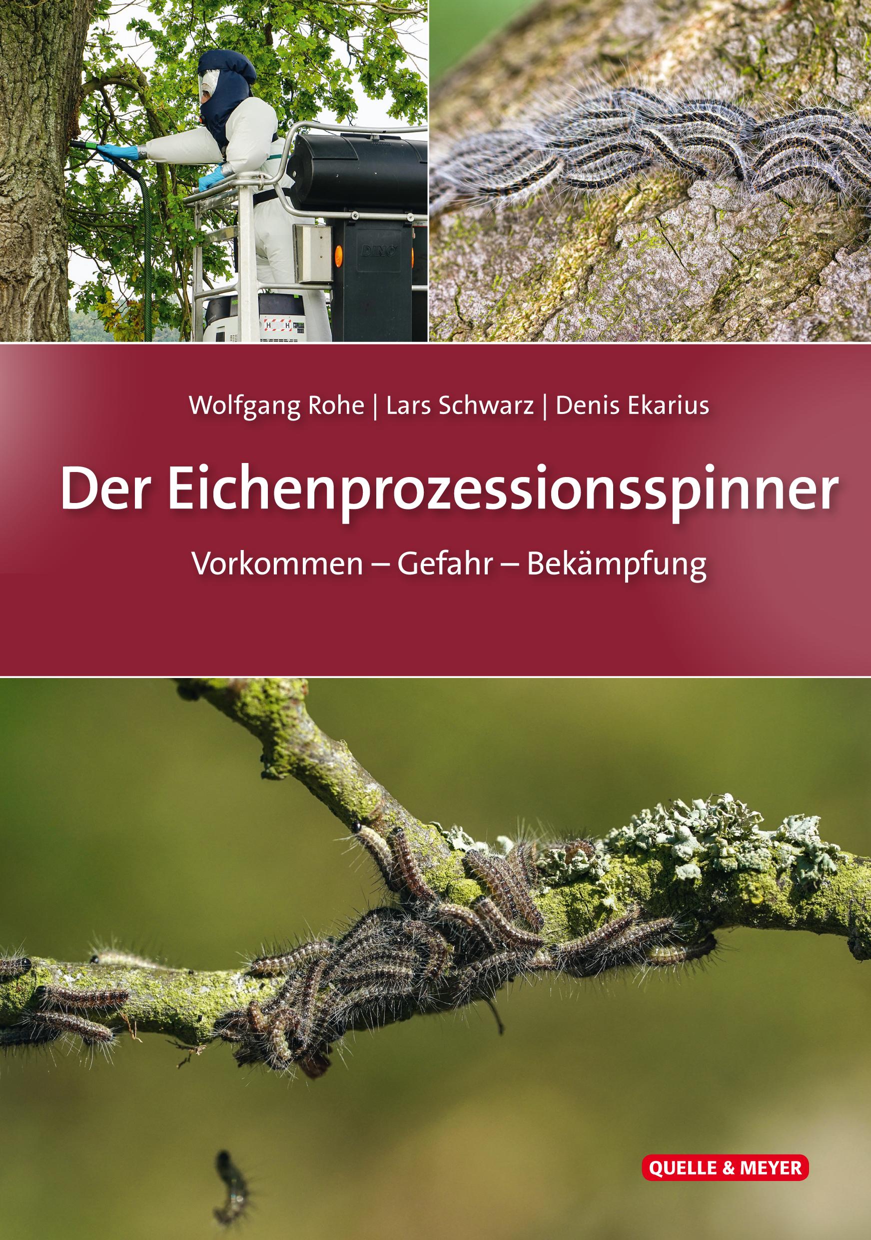 Der Eichenprozessionsspinner