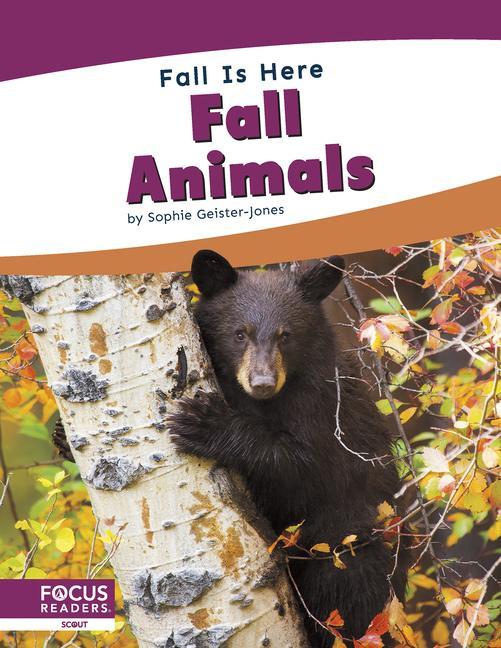 Fall Animals